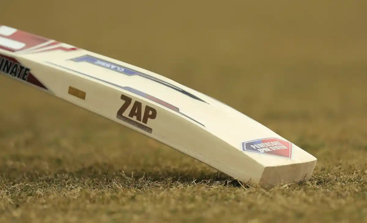 Best English Willow Bats under 25000: Top Picks