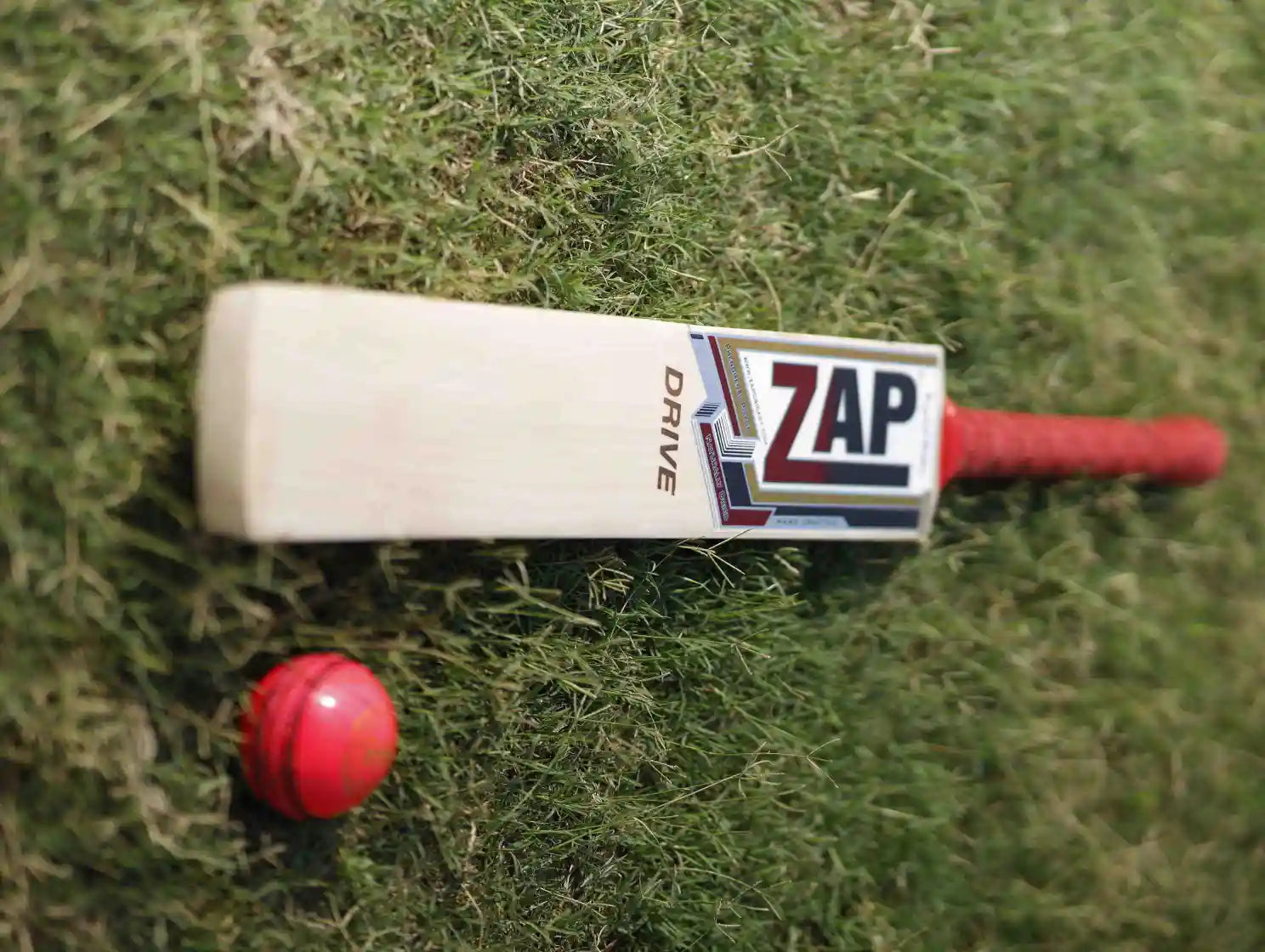 ZAP Cricket Bat and Cricket Ball kept aside each other
