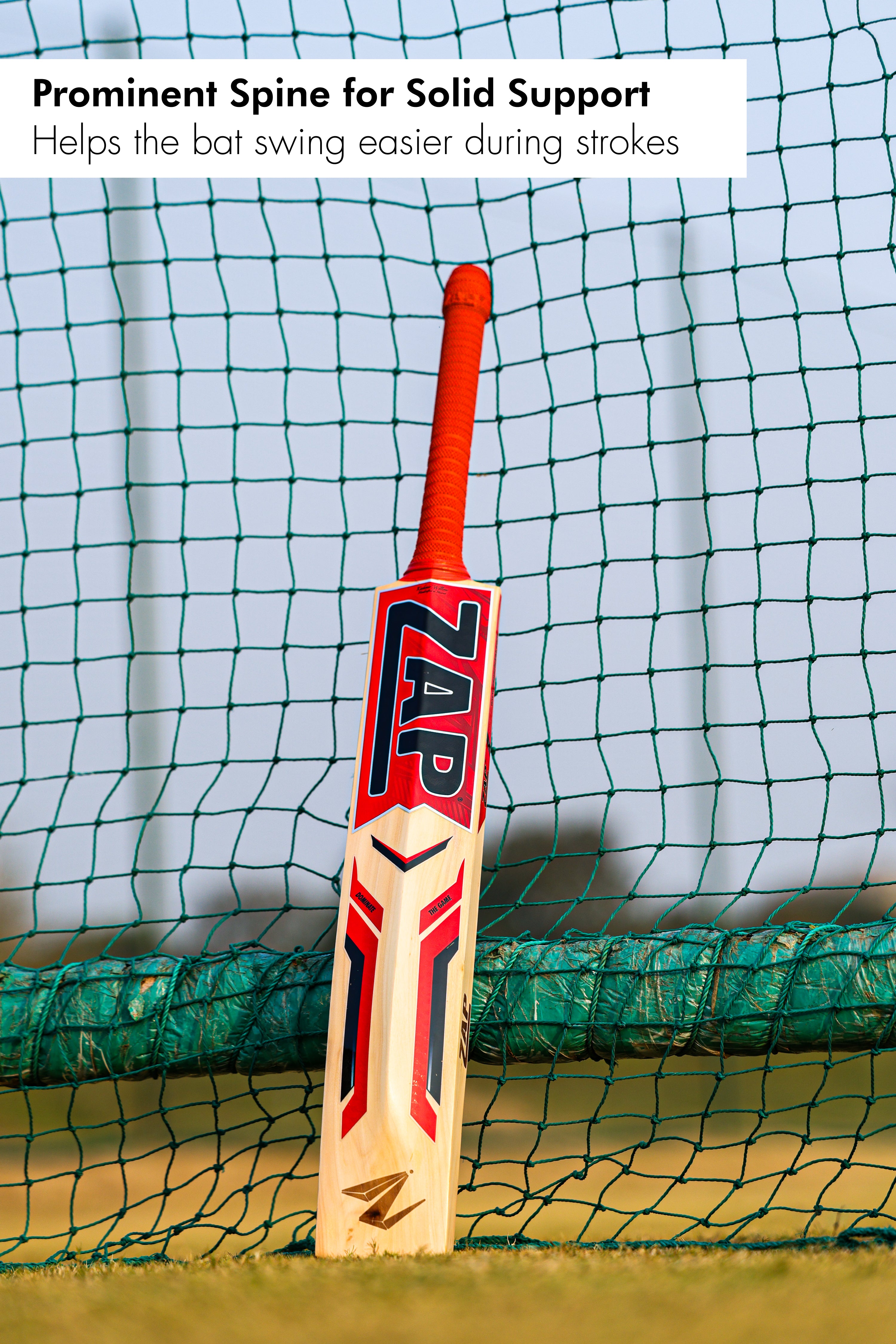 ZAP Drive Kashmir Willow Bat