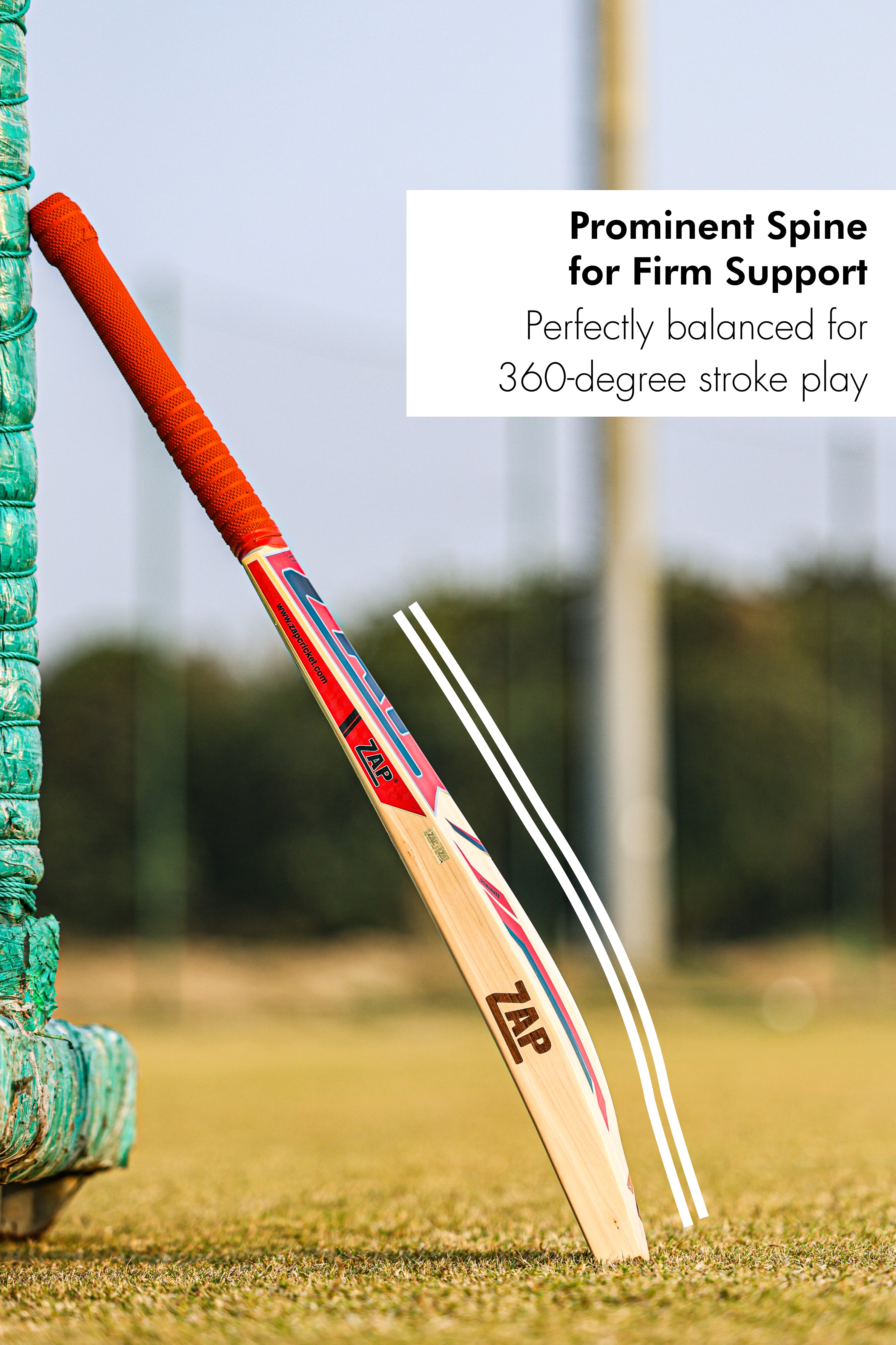 ZAP Drive Kashmir Willow Bat