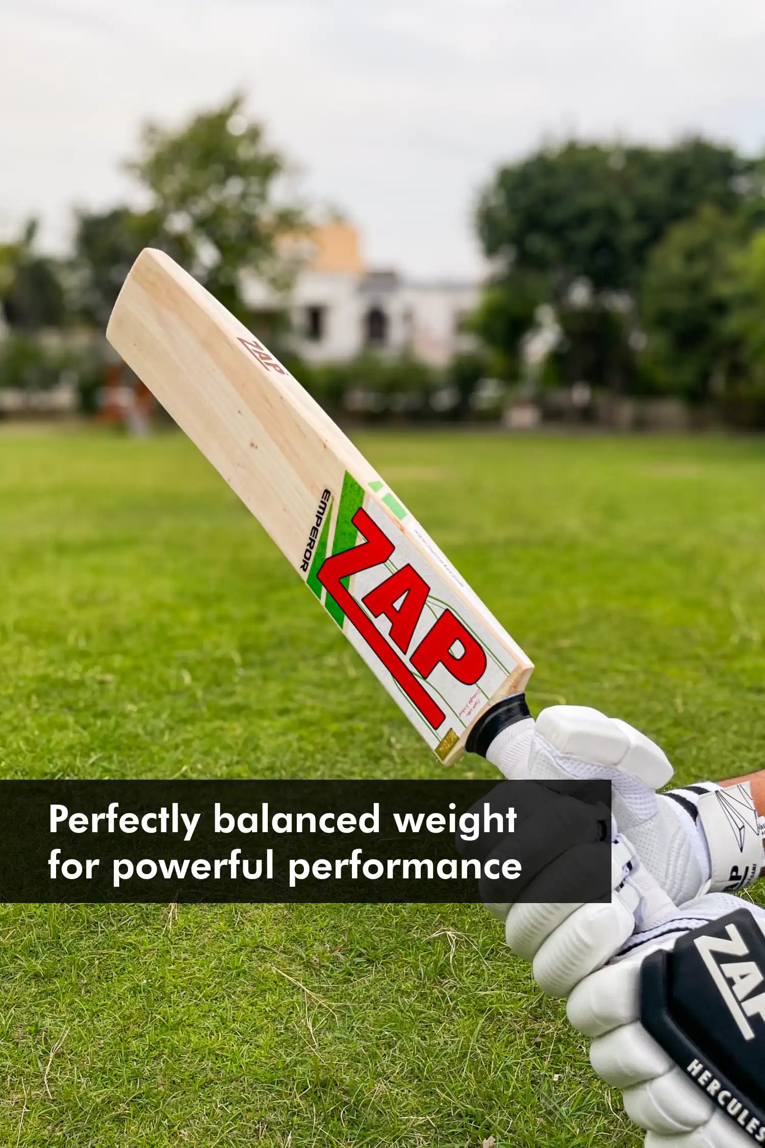 ZAP Classic Emperor English Willow Bat