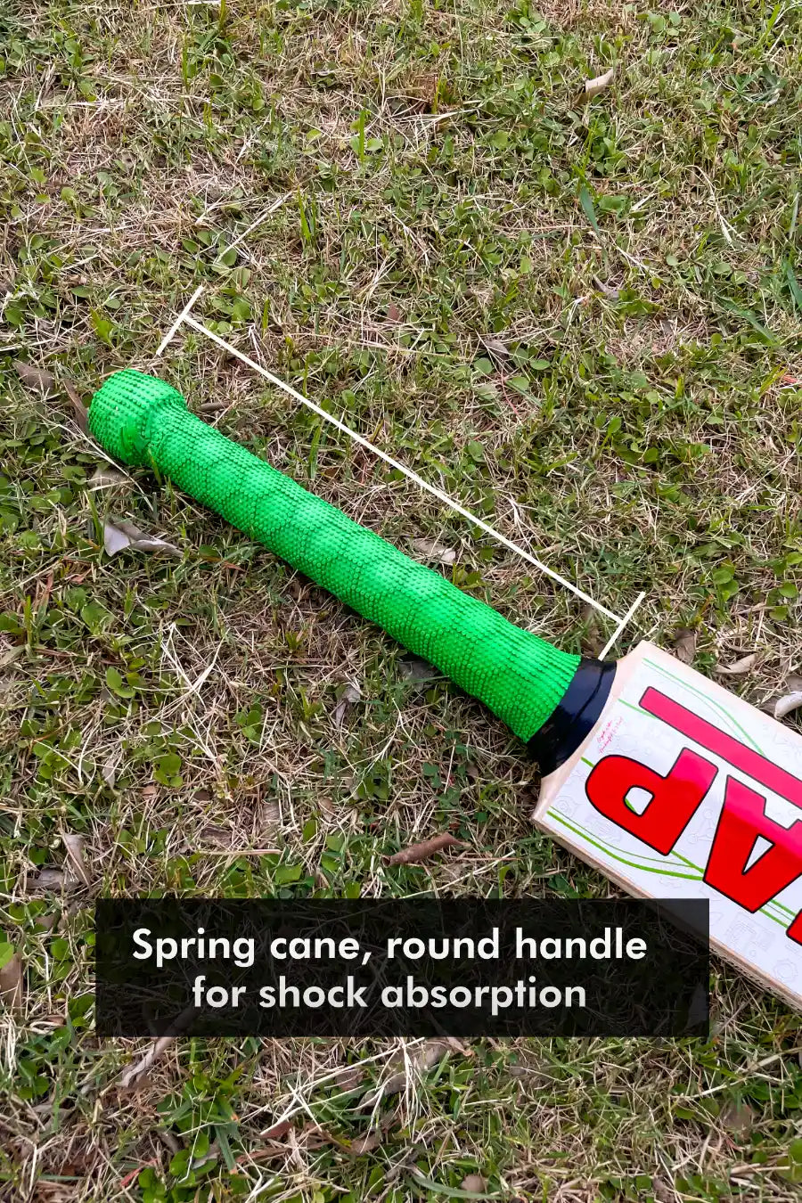 ZAP Force Smart English Willow Bat