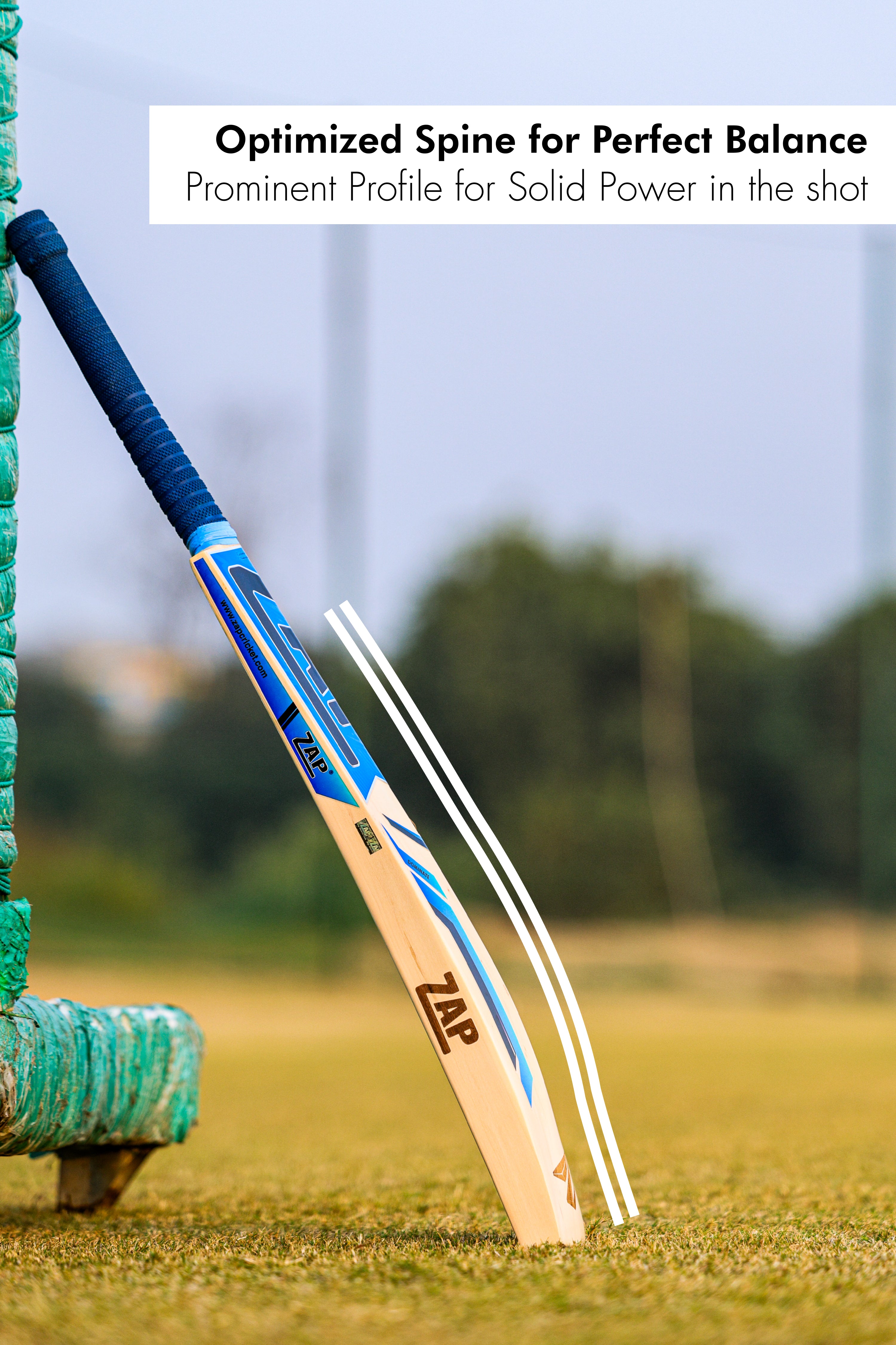 ZAP Glider Kashmir Willow Bat