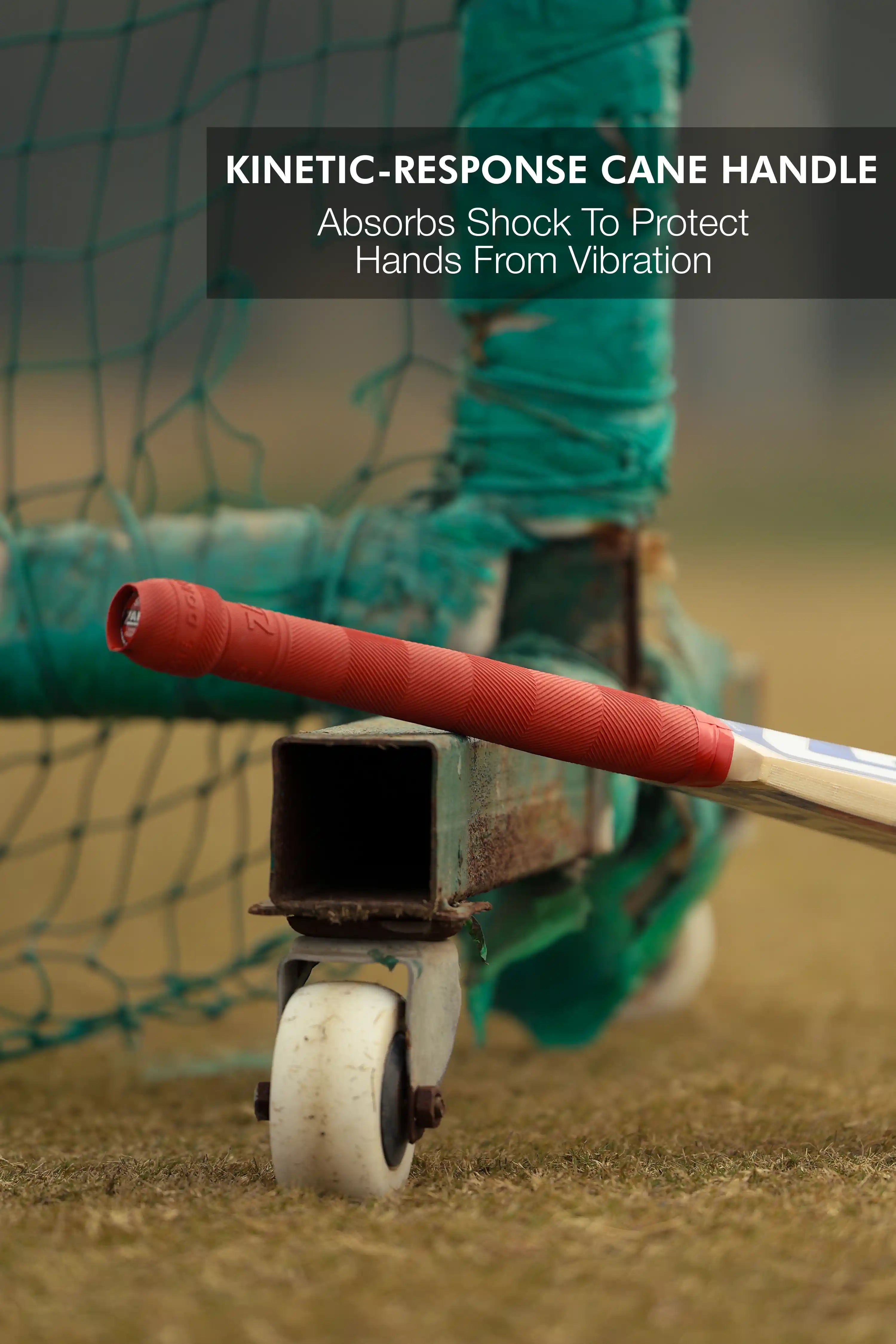 ZAP Classic Novice English Willow Bat