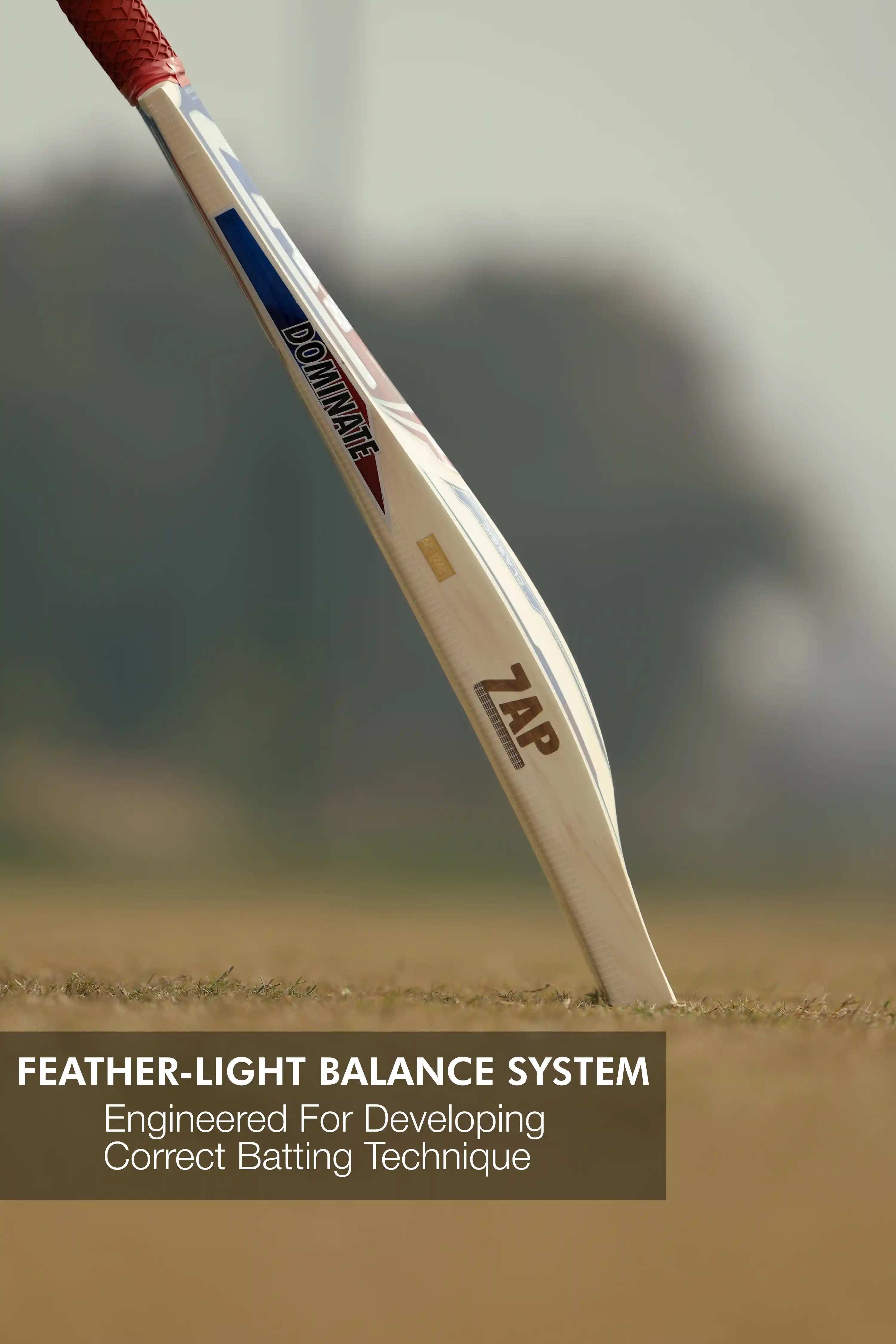 ZAP Classic Novice English Willow Bat