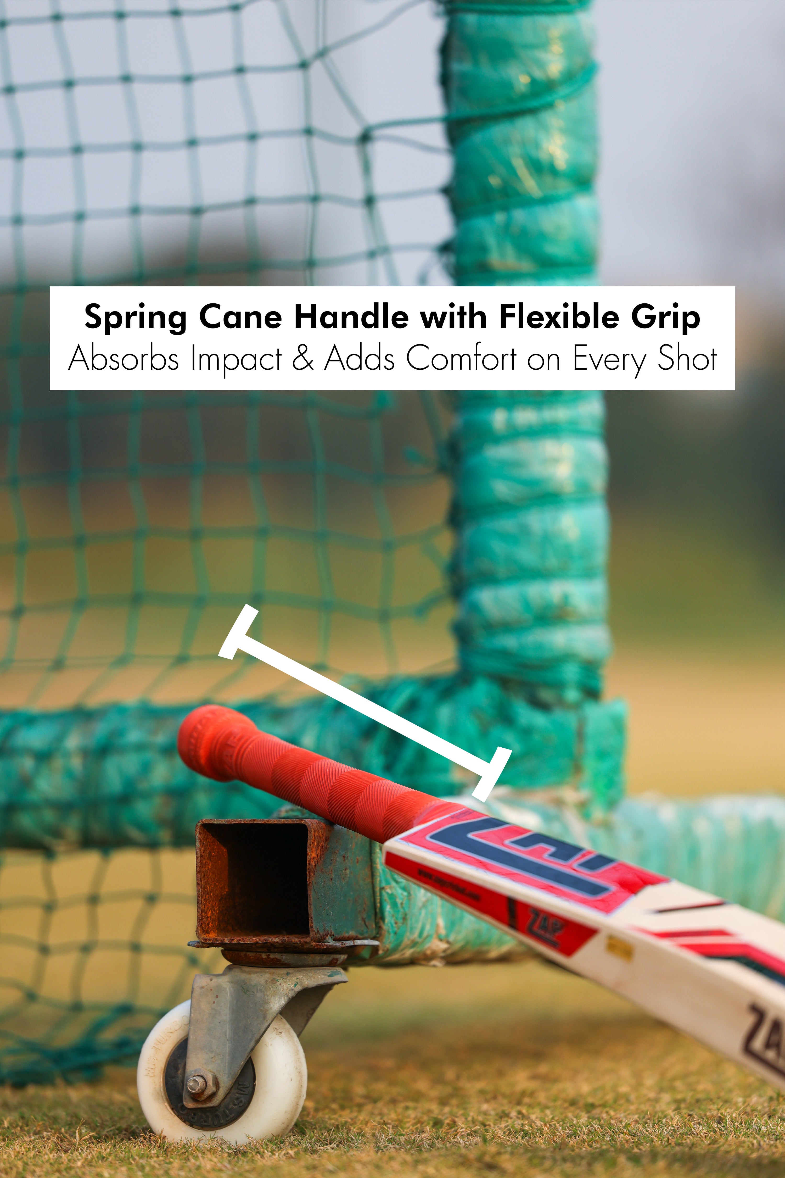 ZAP Instinct Kashmir Willow Bat