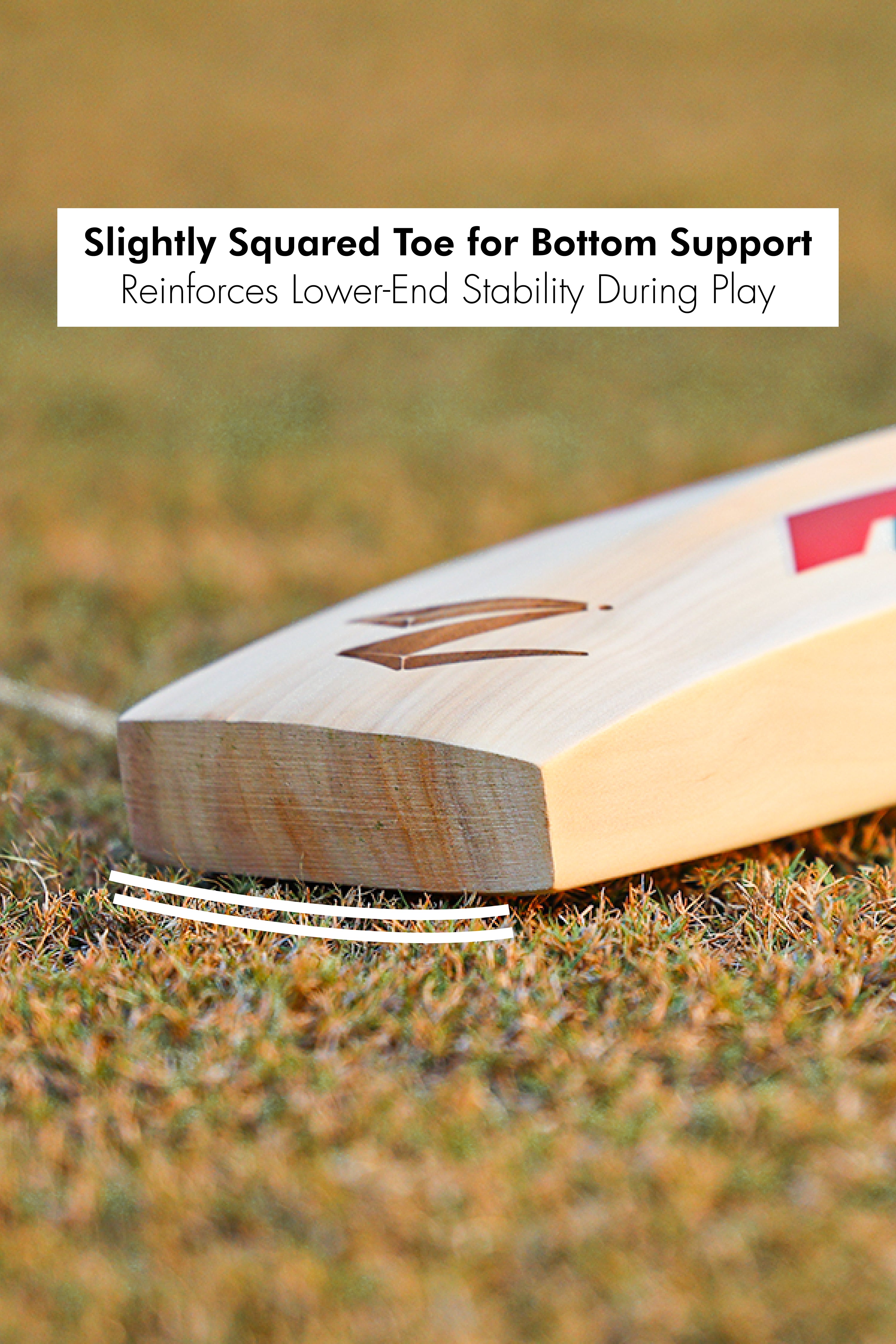 ZAP Instinct Kashmir Willow Bat