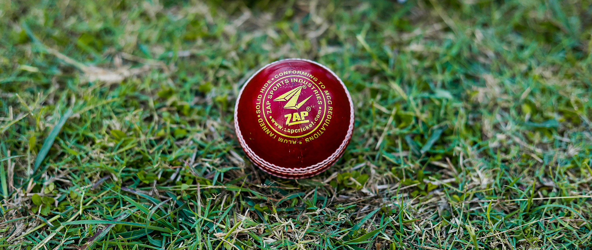 Cricket Leather Balls: Swing With Dominance