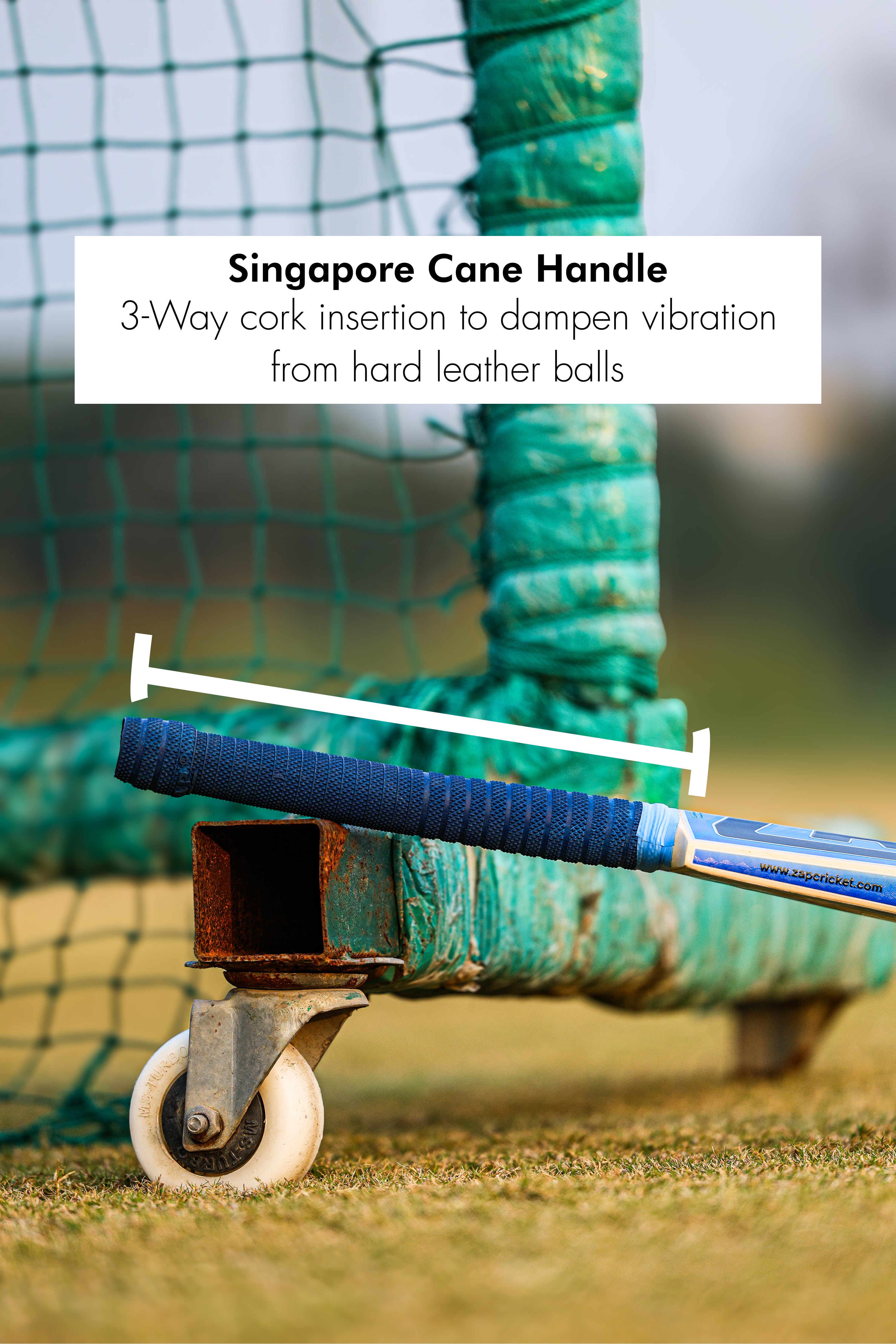 ZAP Match Kashmir Willow Bat