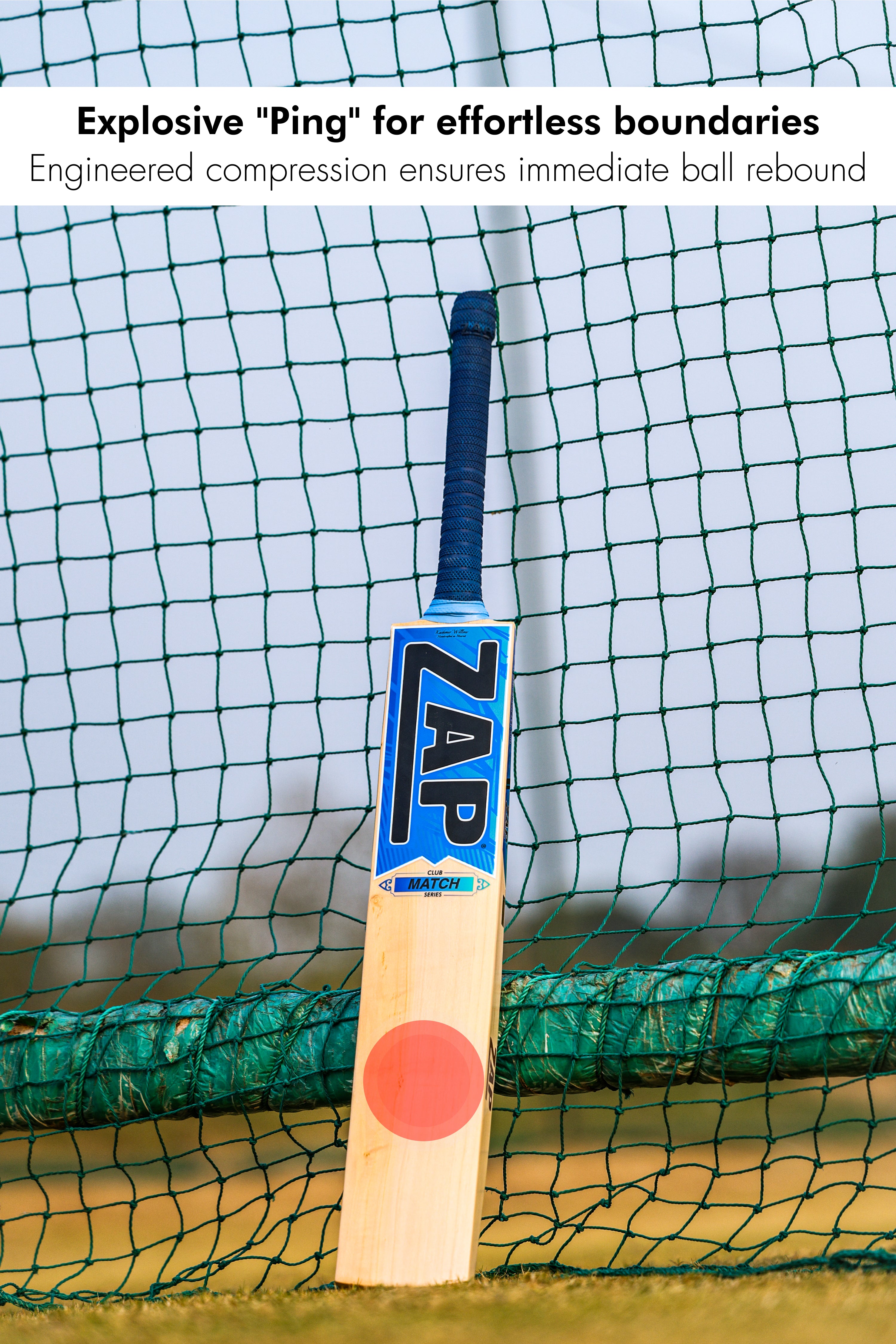 ZAP Match Kashmir Willow Bat