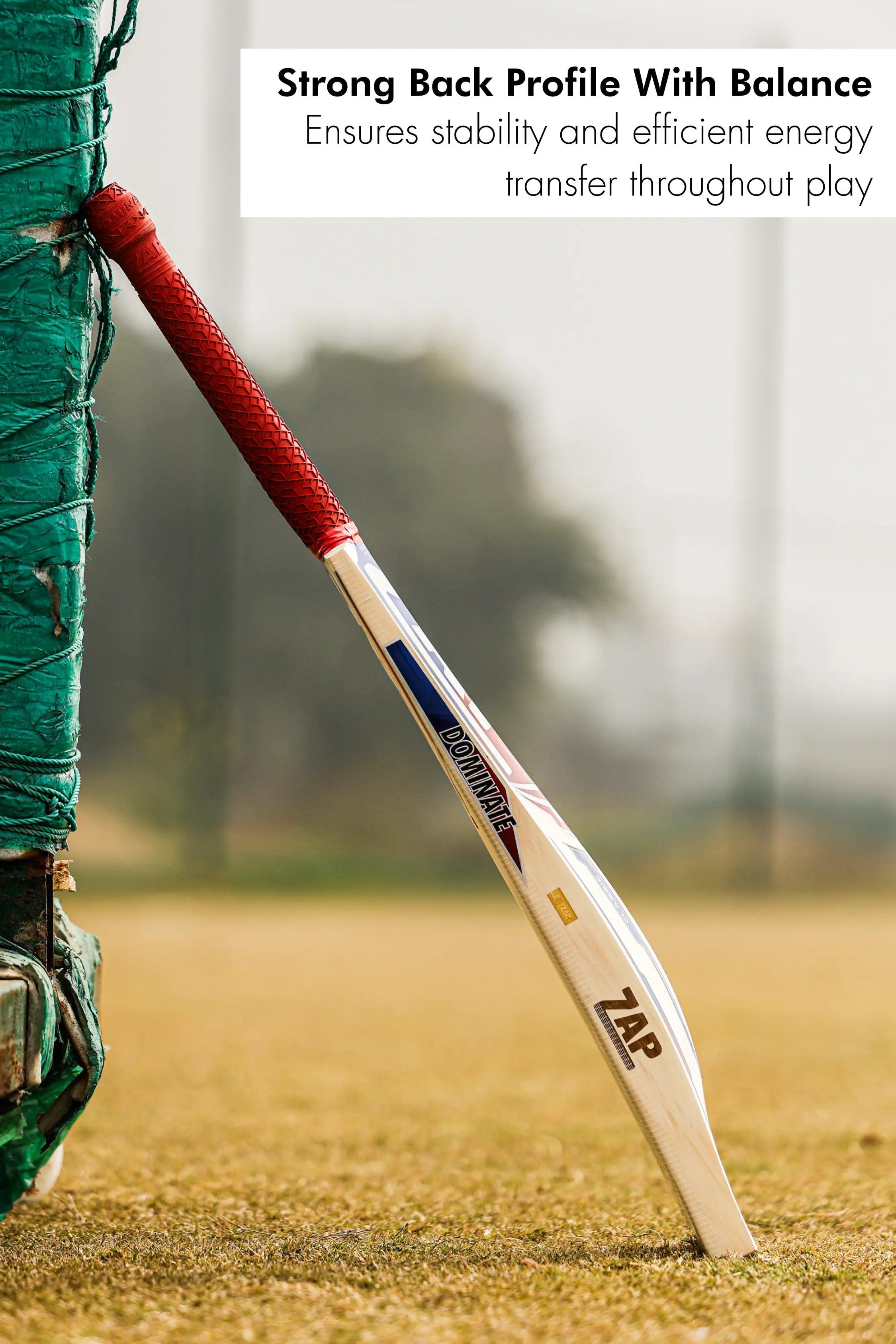 ZAP Classic Pro English Willow Bat