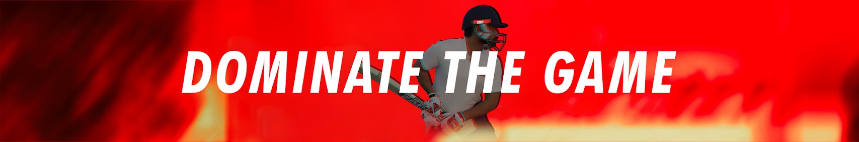 Cricket banner with the slogan "dominate the game" for English willow bad guide