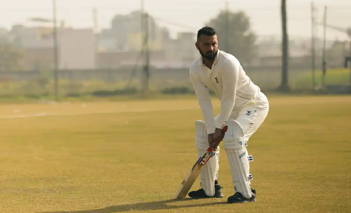 Dutch Willow Cricket Bats: Performance, Durability and Comparison