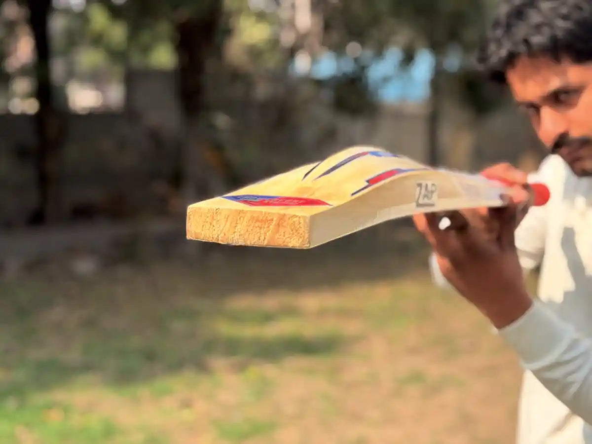 Best English Willow Bats under 30000: Top picks for Pinch Hitters