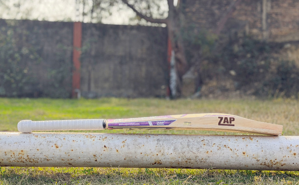 Best Kashmir Willow Bats: Features, Ranking and Comparison