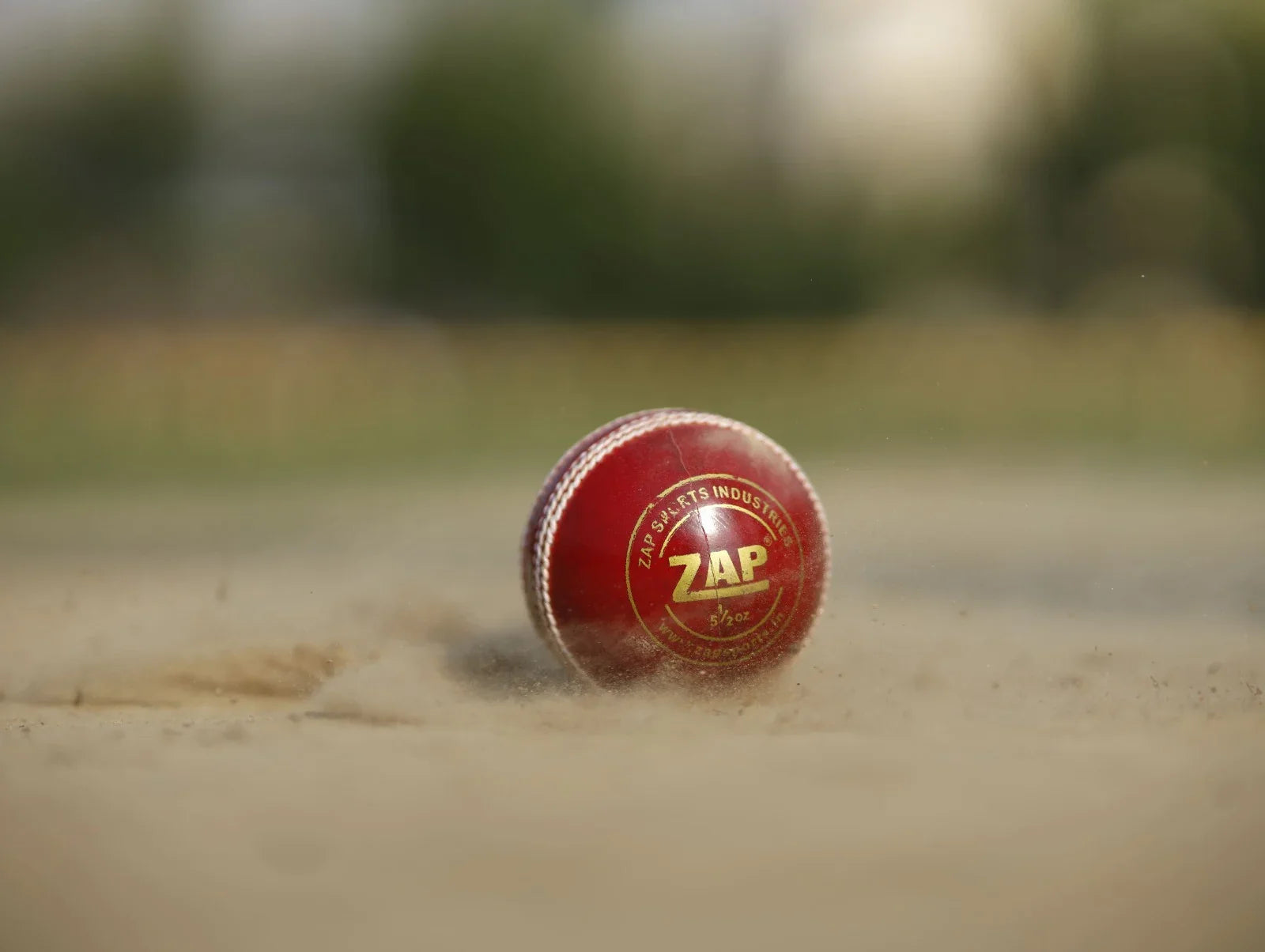 A ZAP Leather Cricket Ball