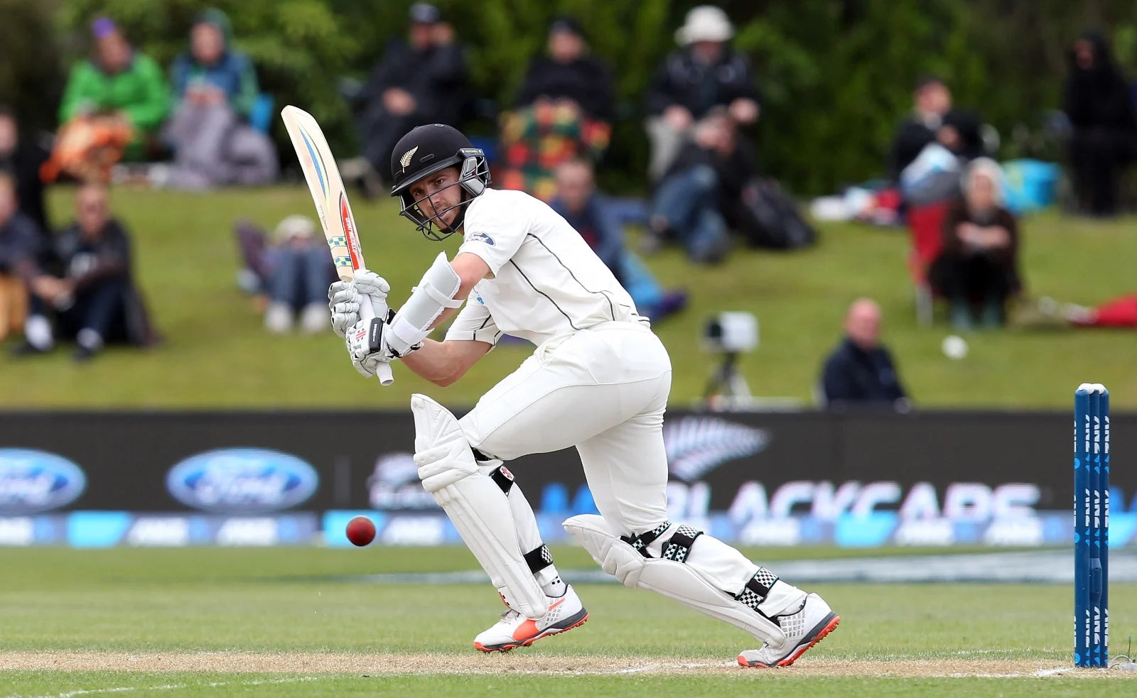 Kane Williamson batting in a test match