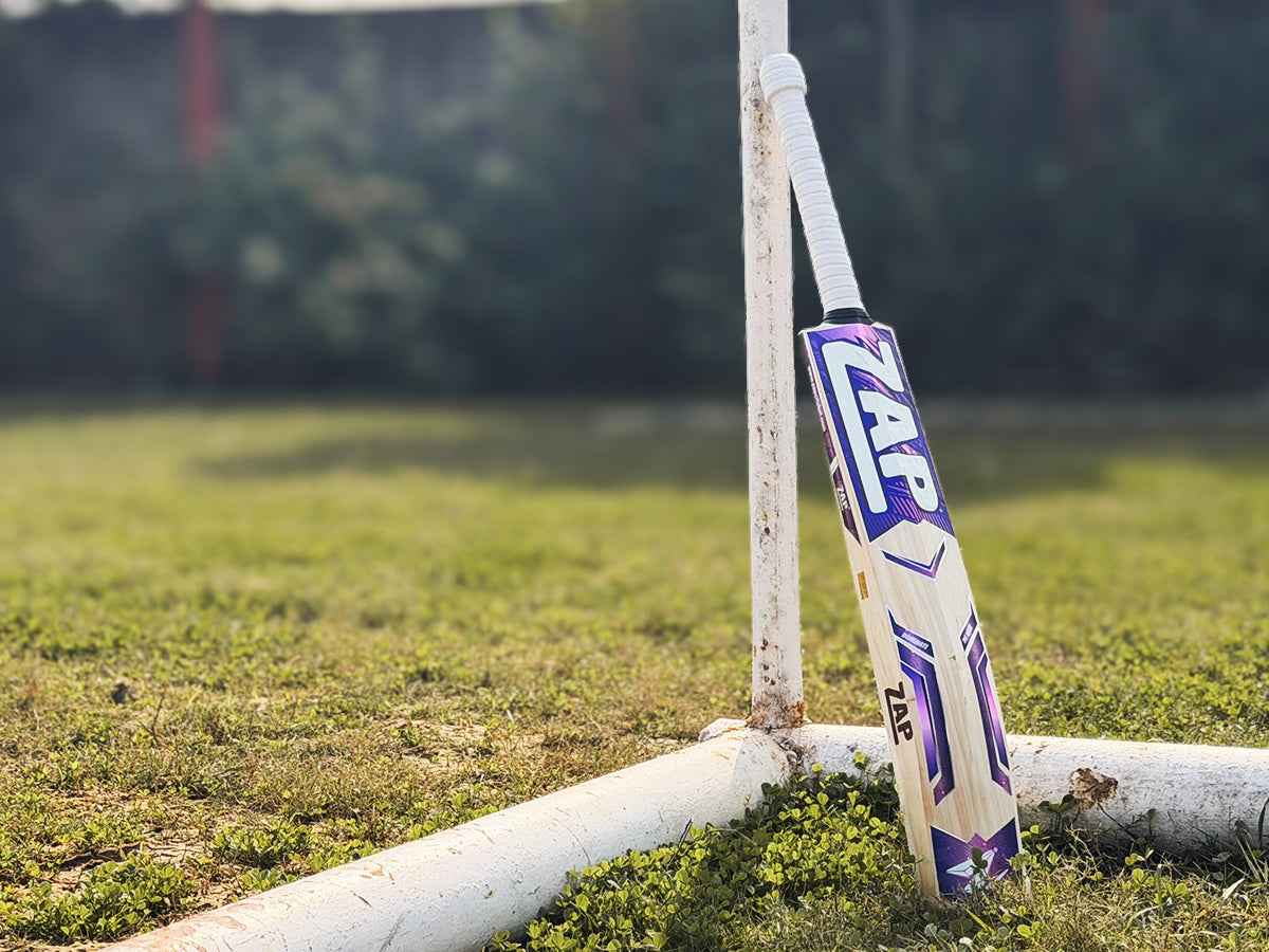 Kashmir Willow Cricket Bats