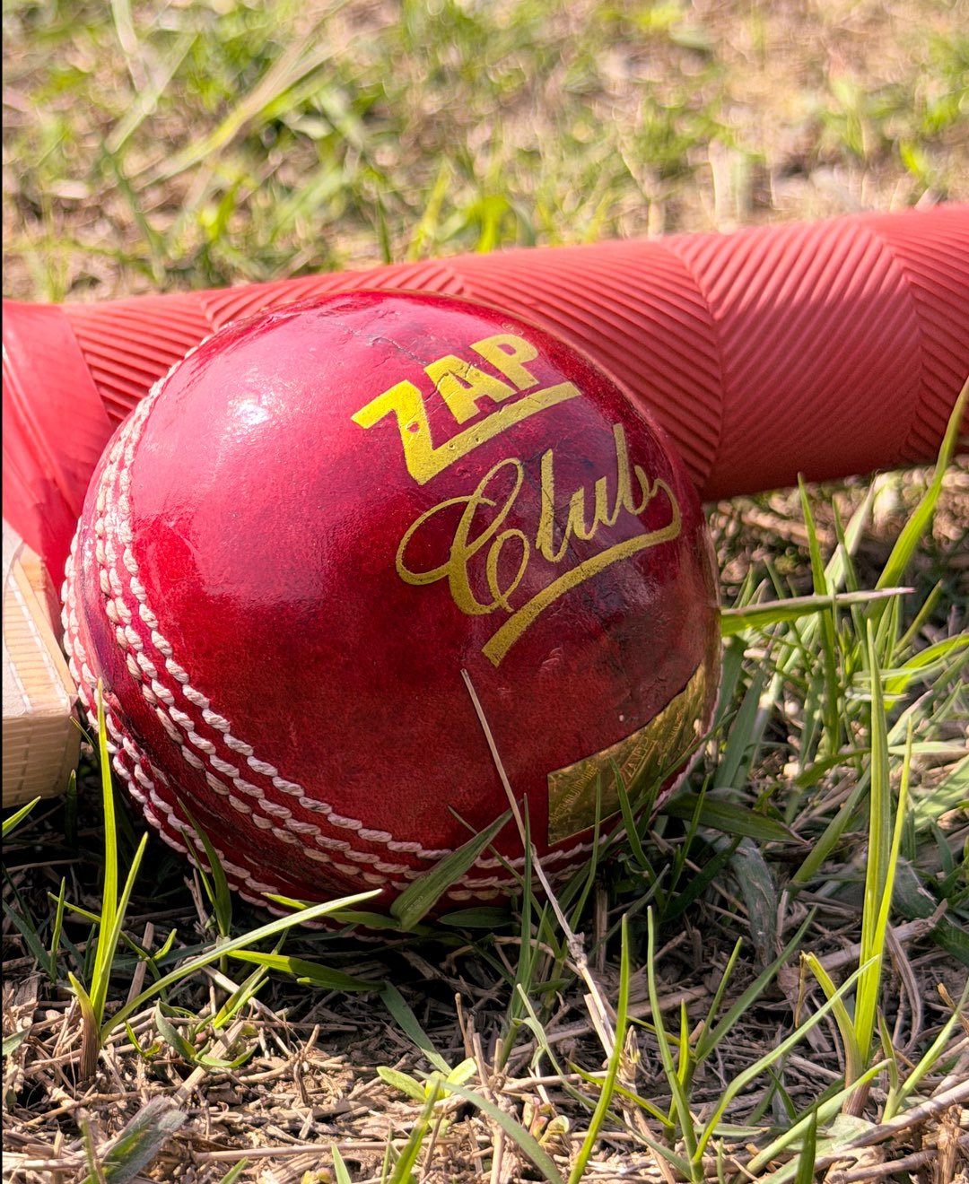 Cricket Leather Balls