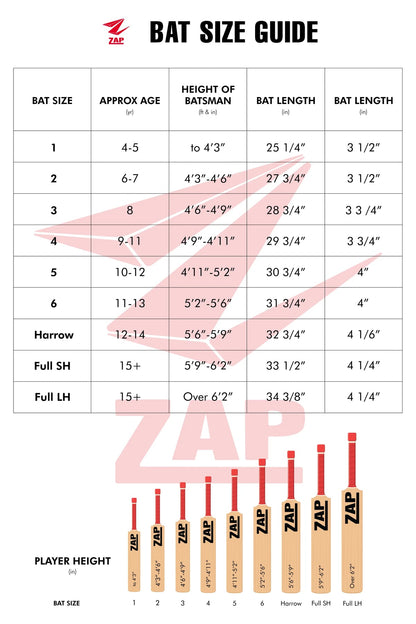 ZAP Match Kashmir Willow Bat