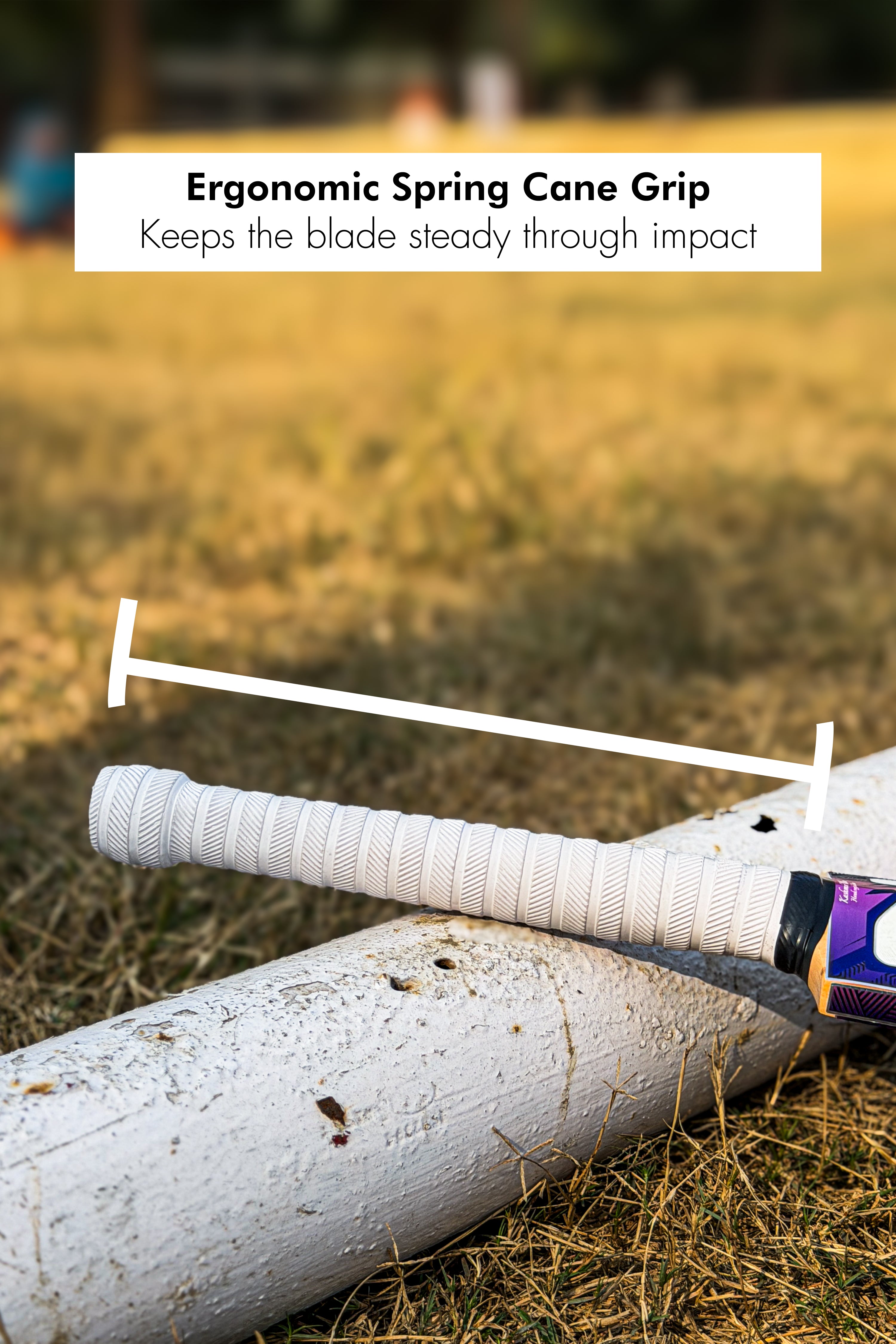 ZAP Besto Kashmir Willow Bat