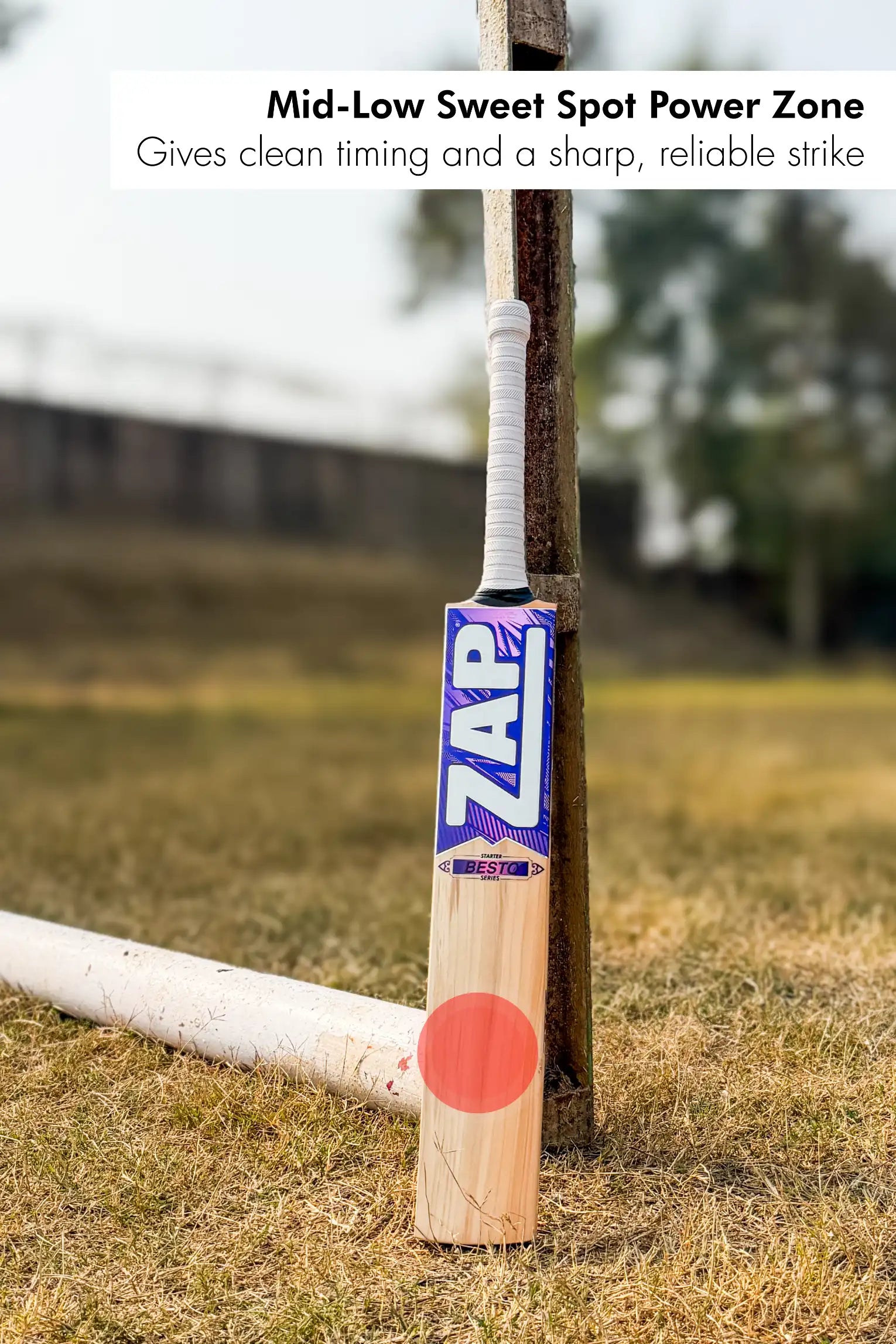 ZAP Besto Kashmir Willow Bat