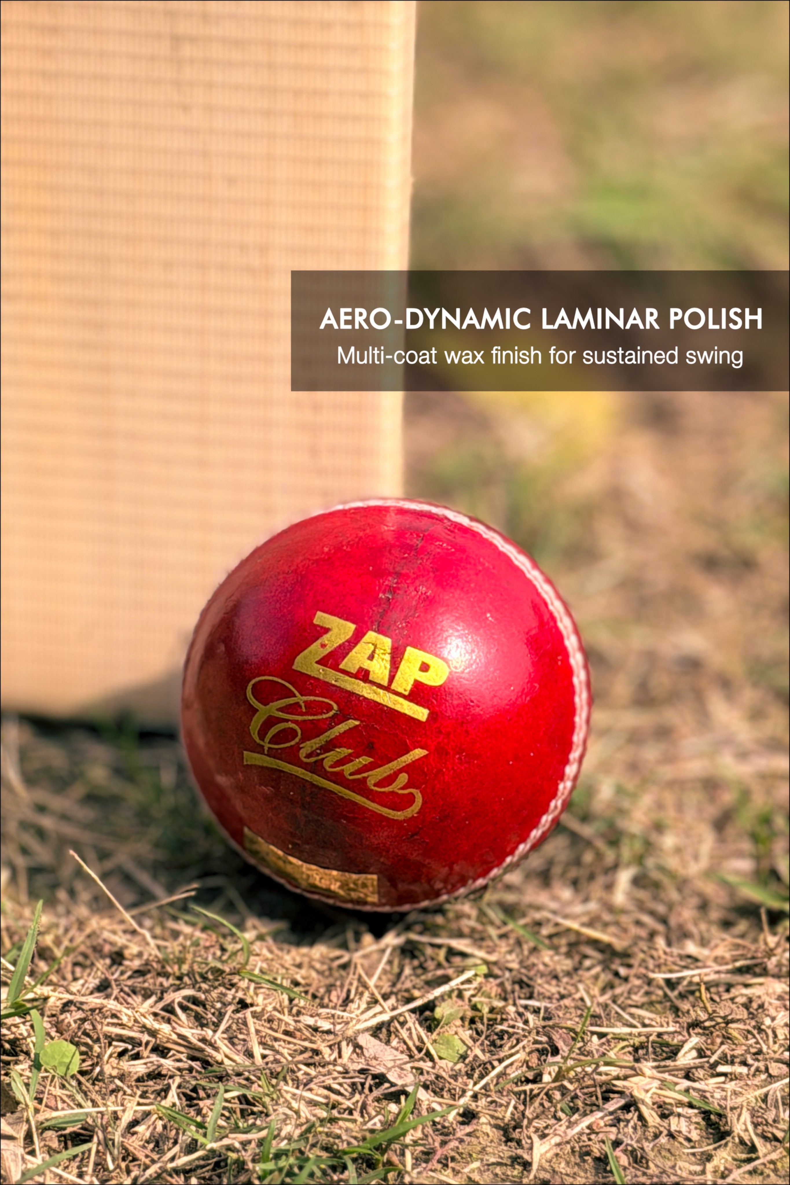 ZAP Club Cricket Leather Ball