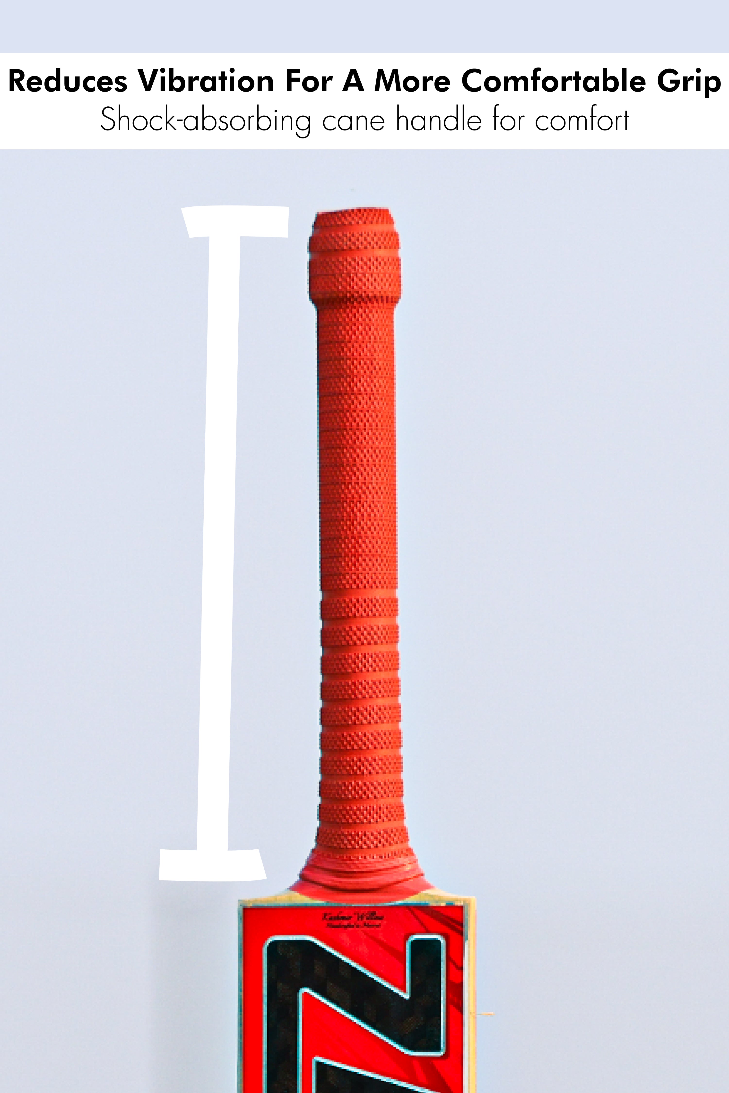 ZAP Drive Kashmir Willow Bat