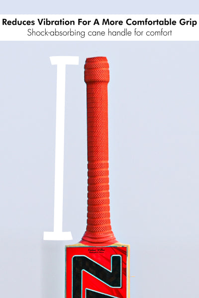 ZAP Drive Kashmir Willow Bat