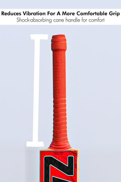 ZAP Drive Kashmir Willow Bat