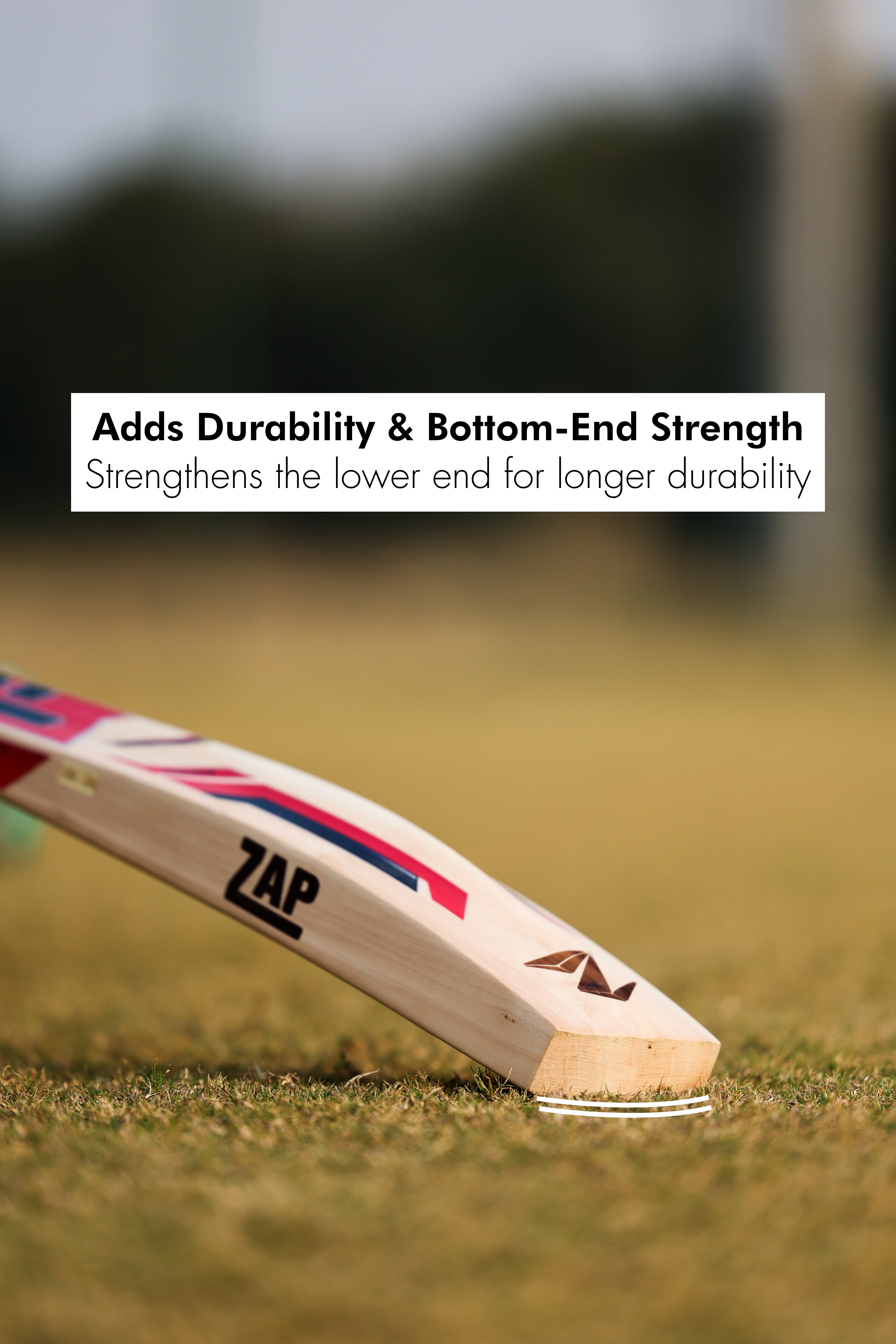 ZAP Drive Kashmir Willow Bat