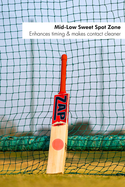 ZAP Drive Kashmir Willow Bat