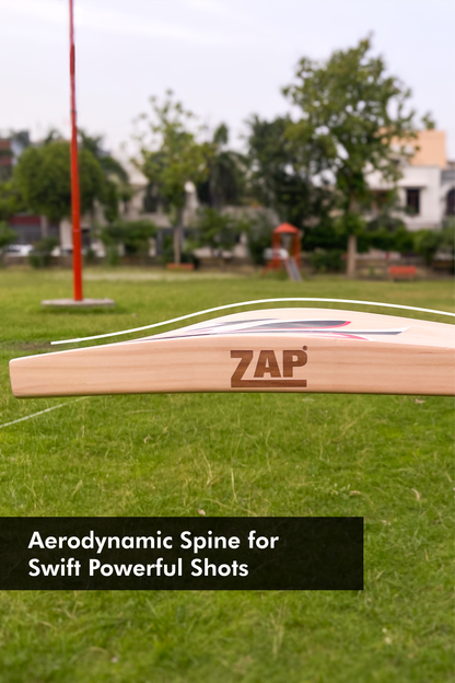 ZAP Alpha White Sticker Kashmir Willow Cricket Bat