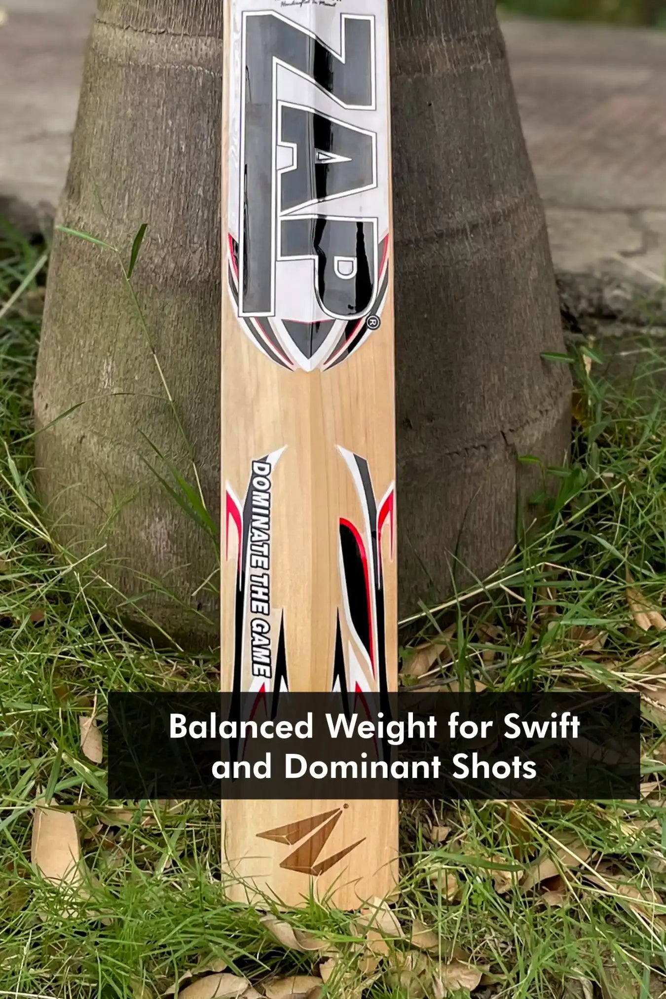 ZAP Alpha White Sticker Kashmir Willow Cricket Bat