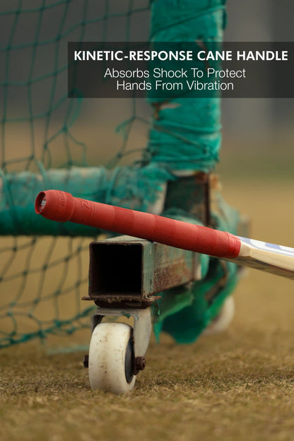 ZAP Classic Novice English Willow Bat