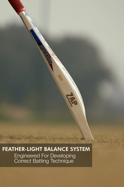 ZAP Classic Novice English Willow Bat