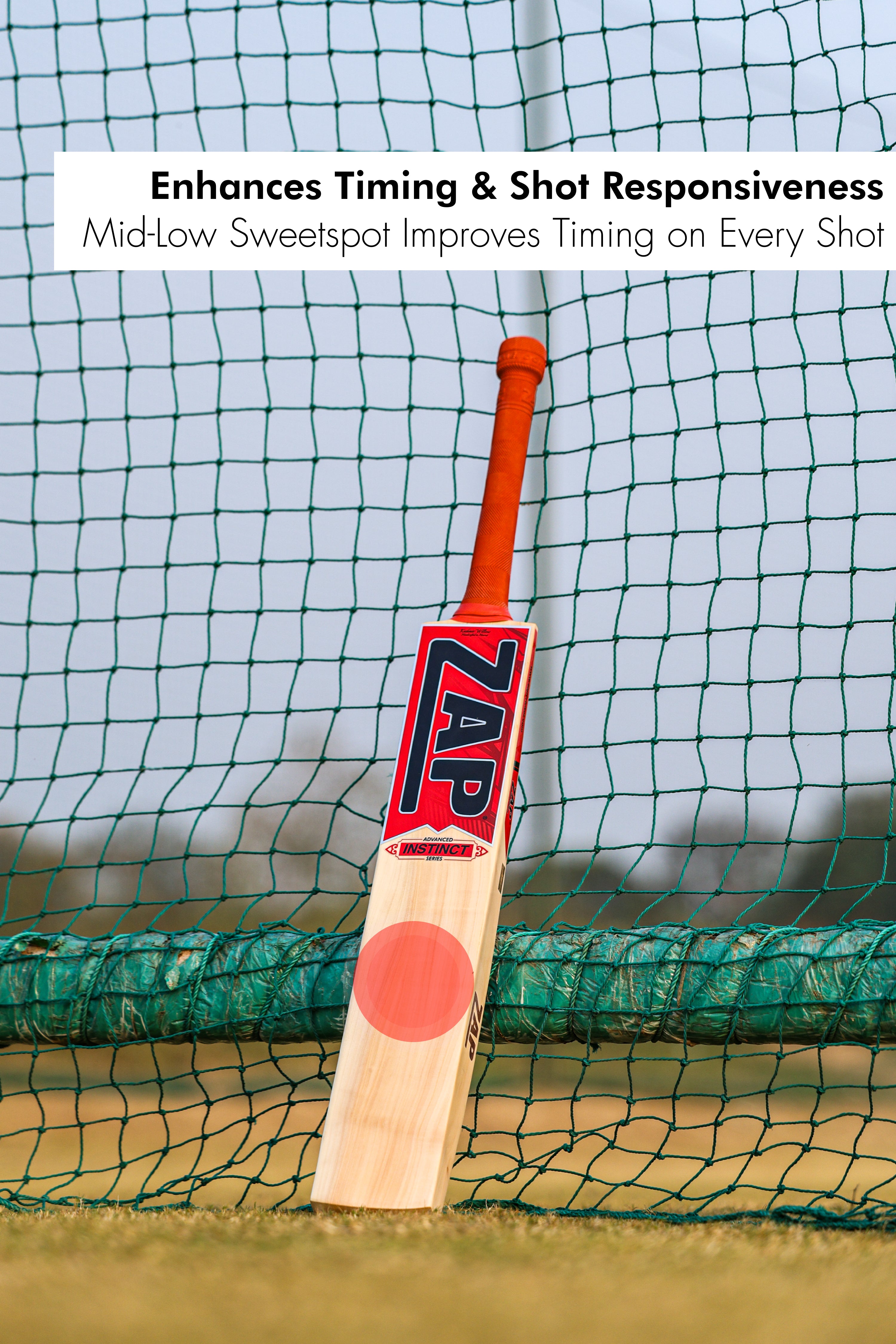 ZAP Instinct Kashmir Willow Bat