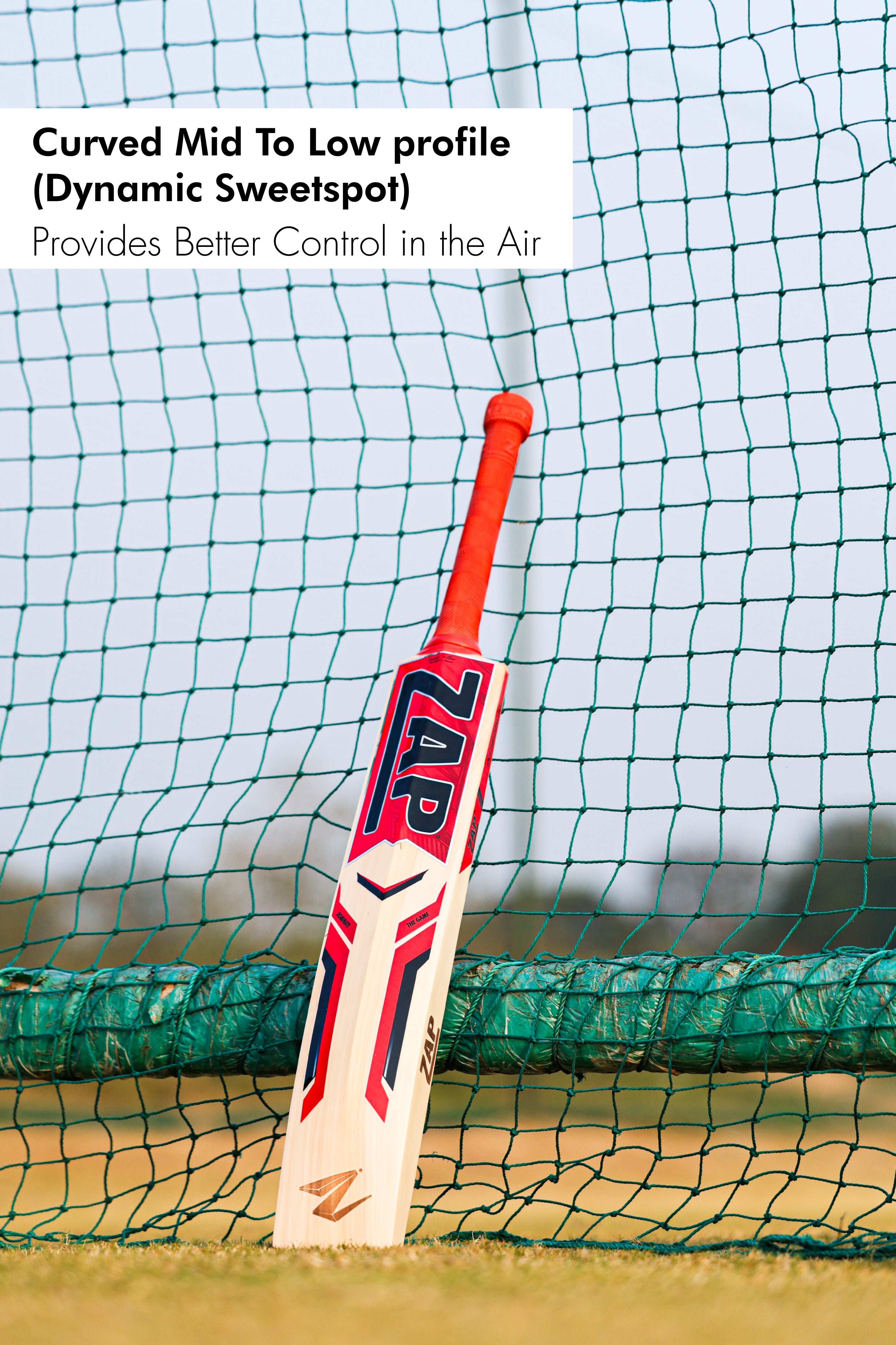 ZAP Instinct Kashmir Willow Bat