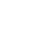 ZAP Cricket