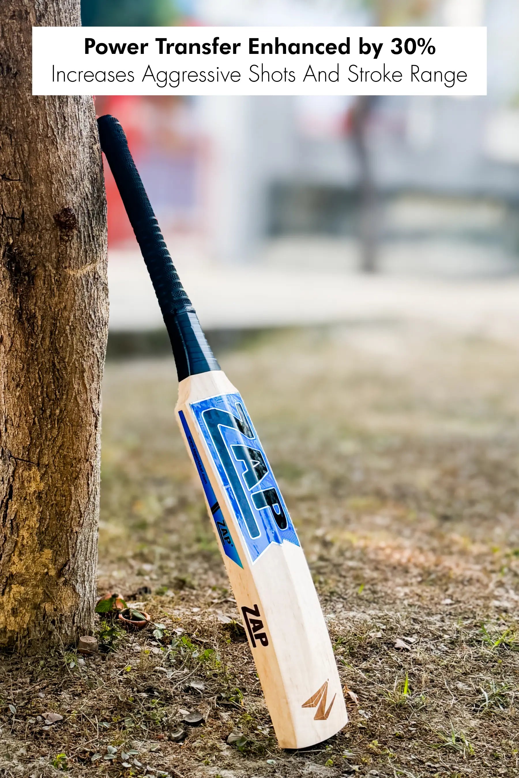 ZAP V Shaped Mongoose Kashmir Willow Bat