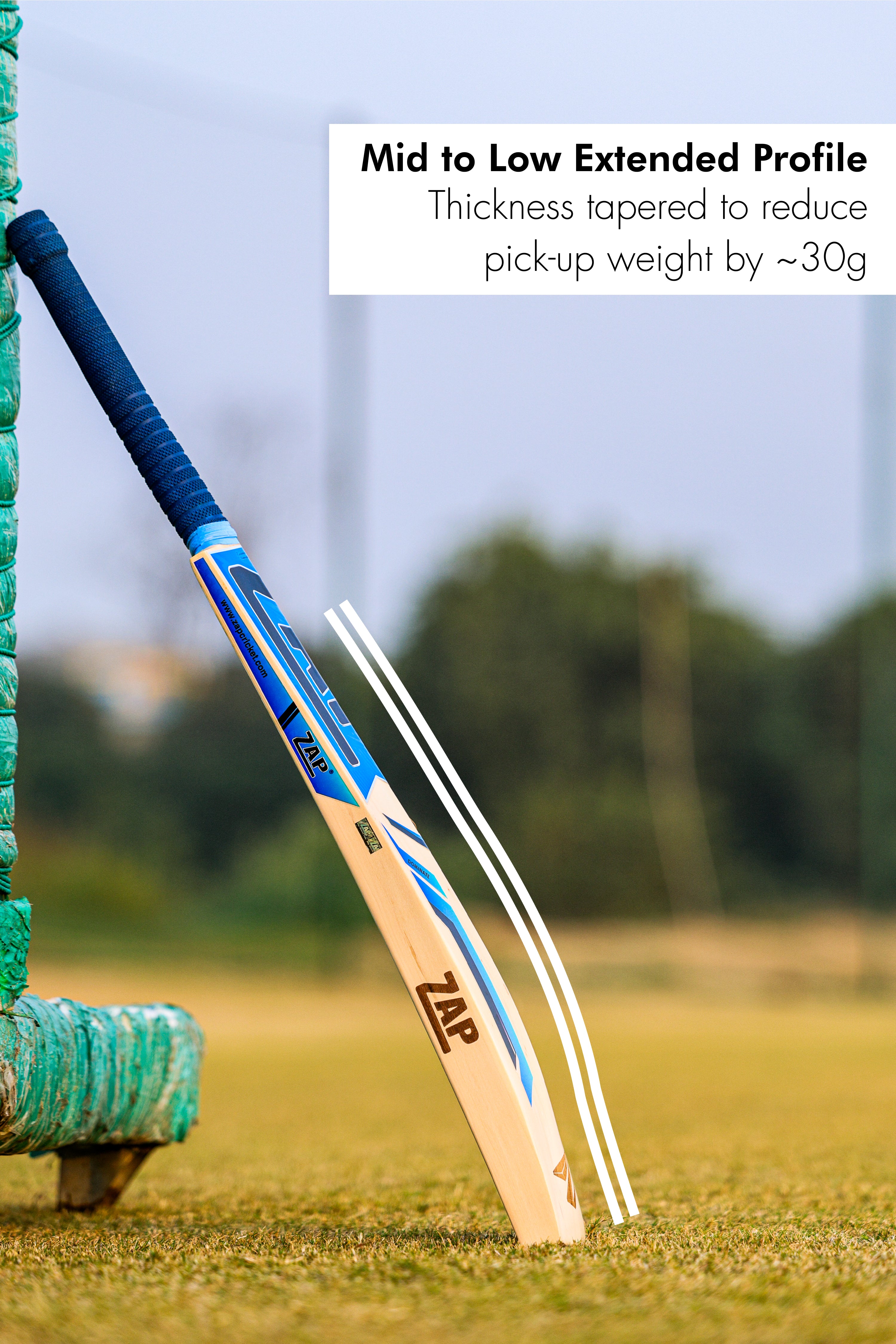 ZAP Match Kashmir Willow Bat