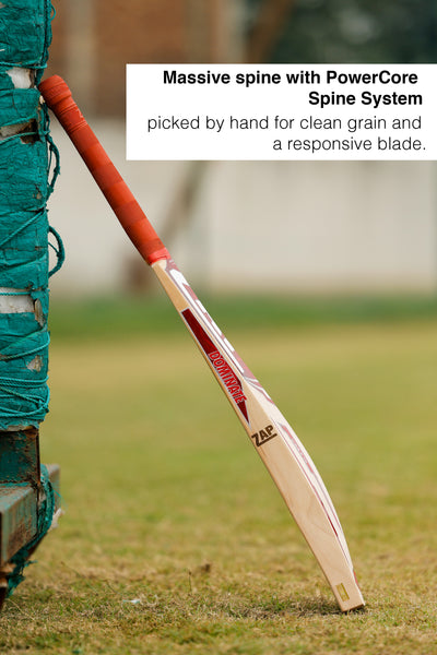 ZAP Classic Blaze English Willow Bat
