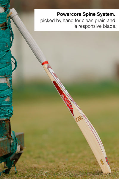 ZAP Classic Instinct English Willow Bat