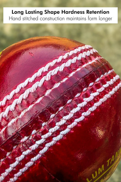 ZAP Pacer 20 Cricket Leather Ball