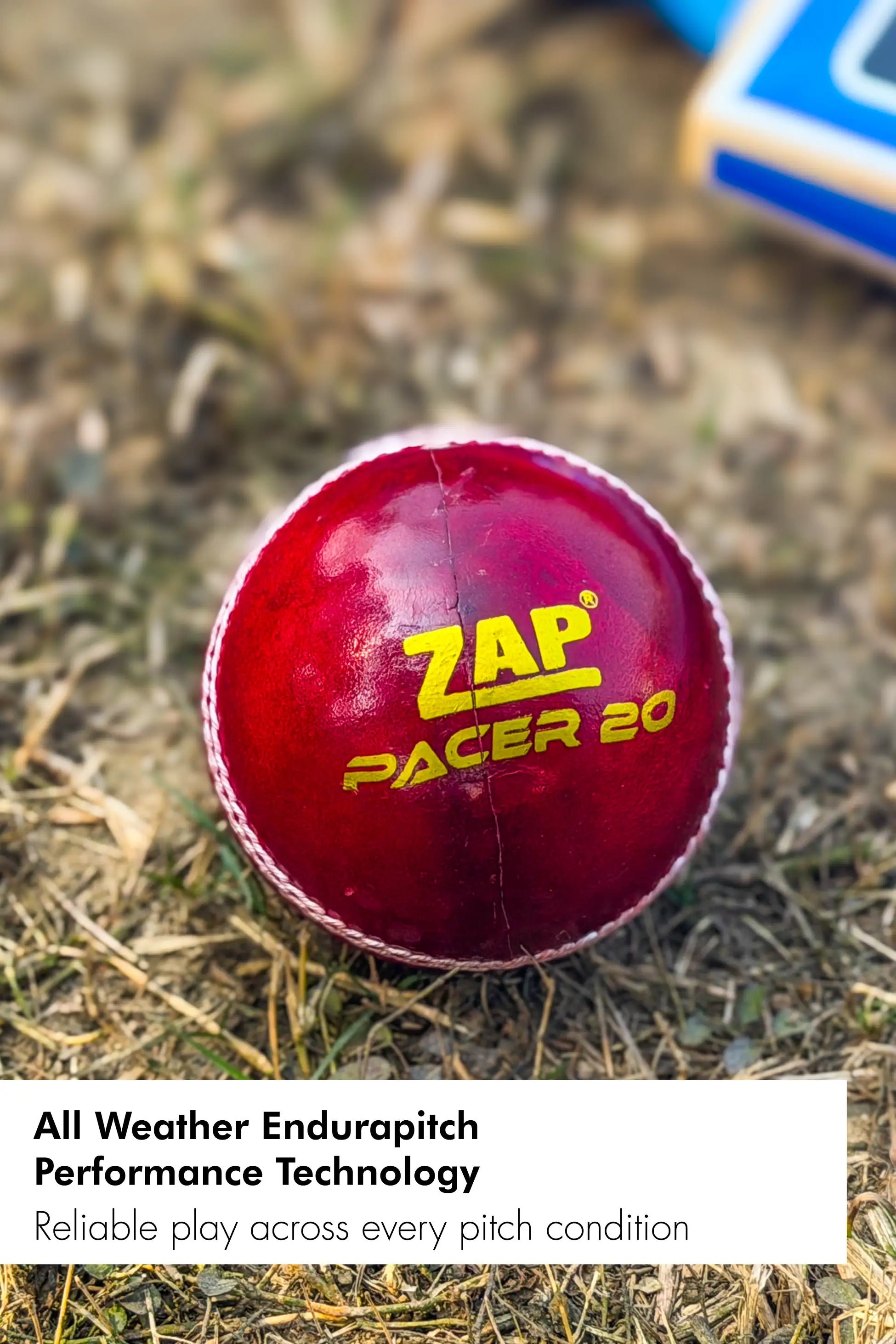 ZAP Pacer 20 Cricket Leather Ball