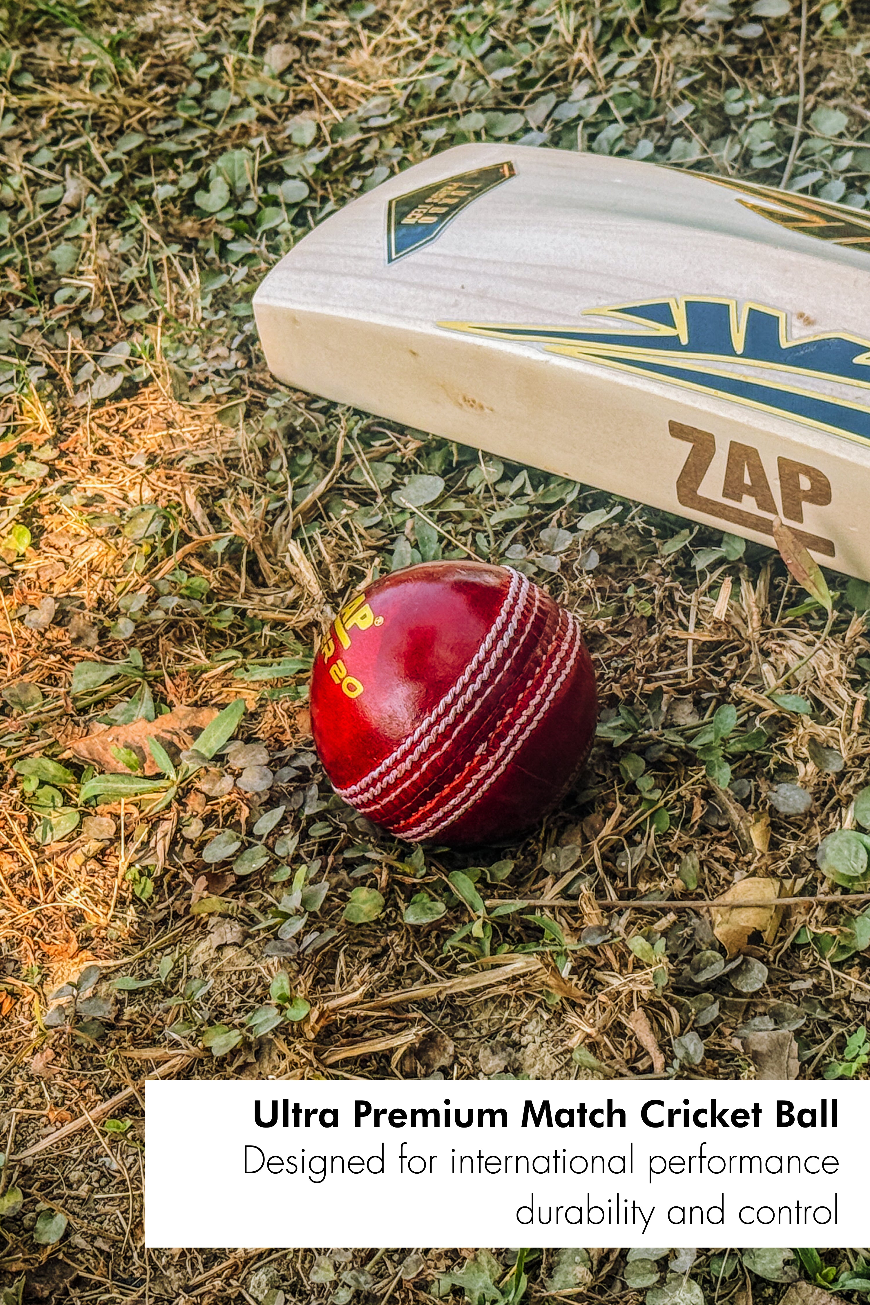 ZAP Pacer 20 Cricket Leather Ball