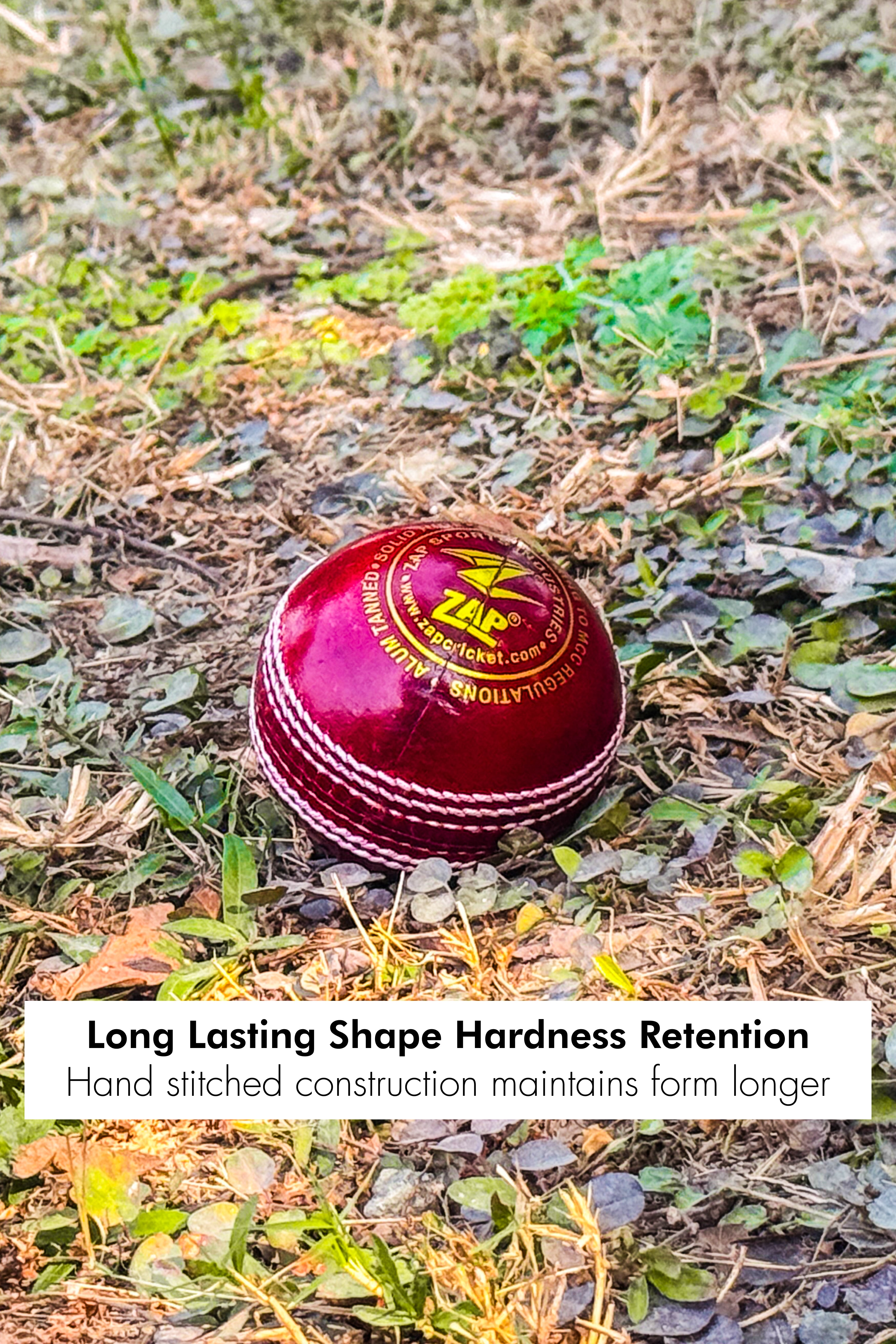 ZAP Pacer 20 Cricket Leather Ball