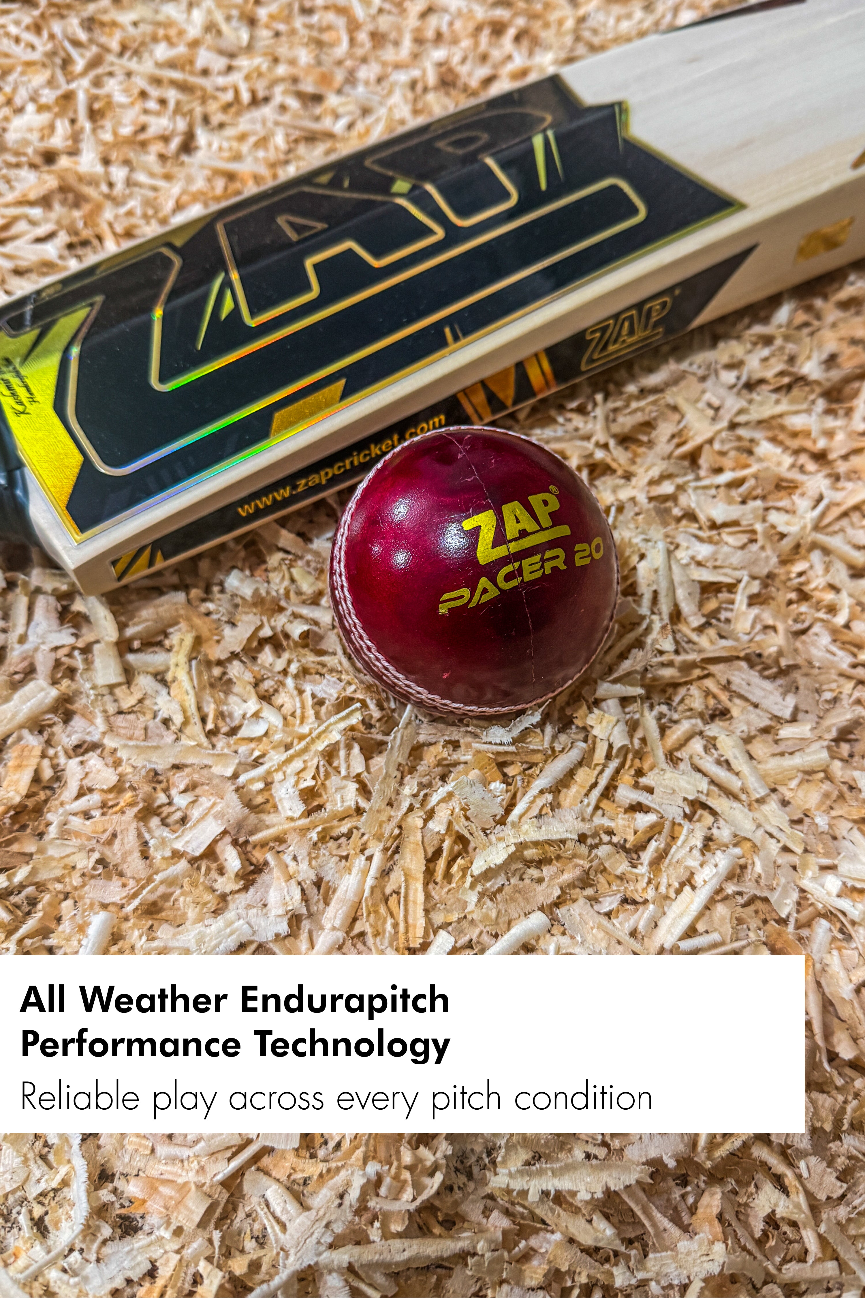 ZAP Pacer 20 Cricket Leather Ball