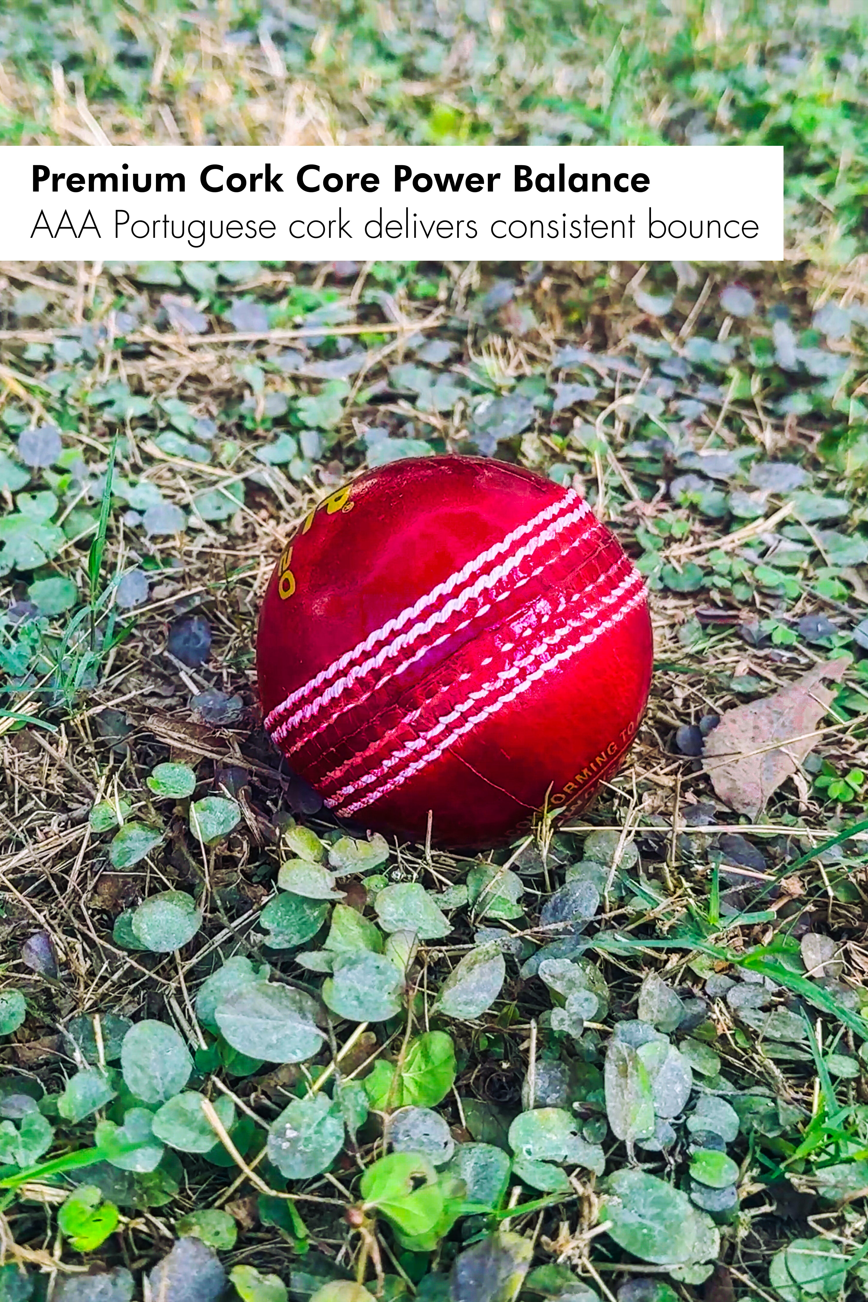 ZAP Pacer 20 Cricket Leather Ball