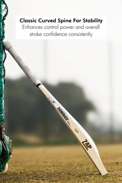ZAP Classic Platino English Willow Bat (Grade 2)